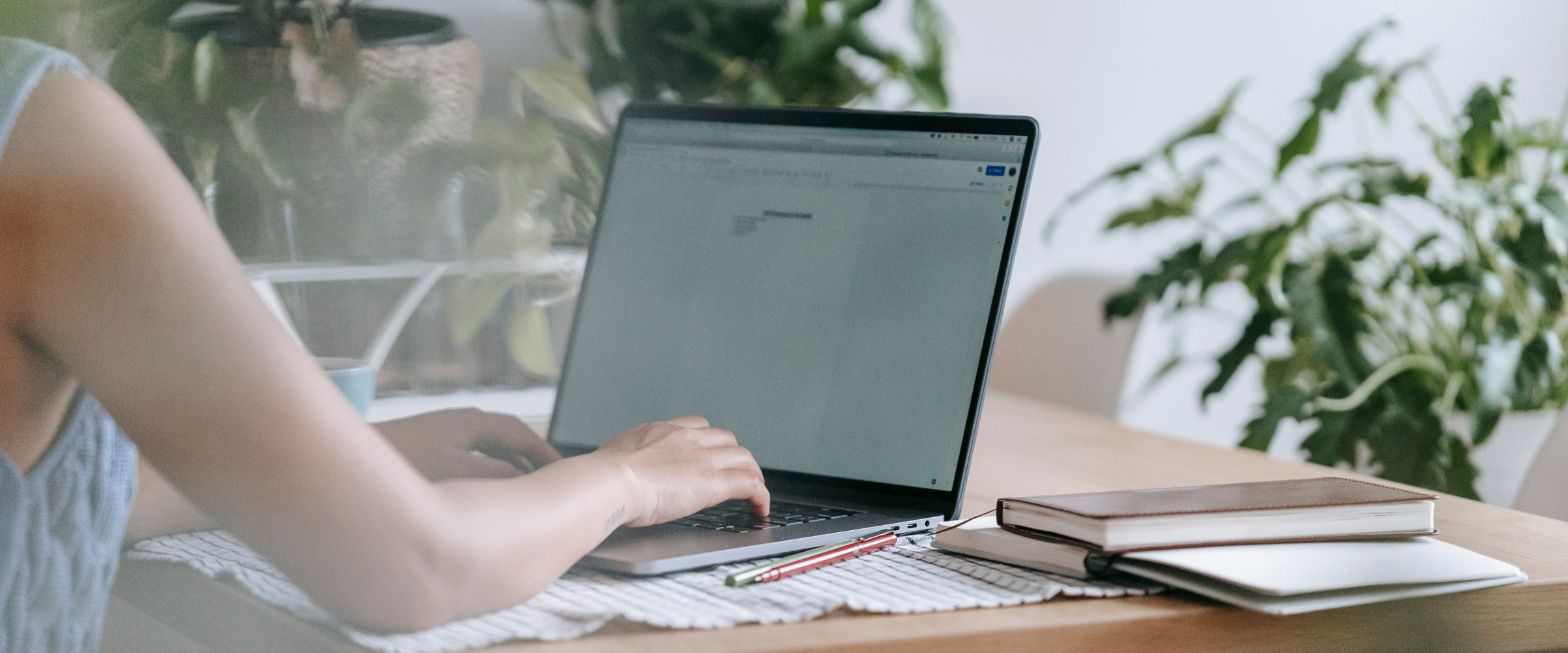 Keeping Your Offline eBIRForms Secure