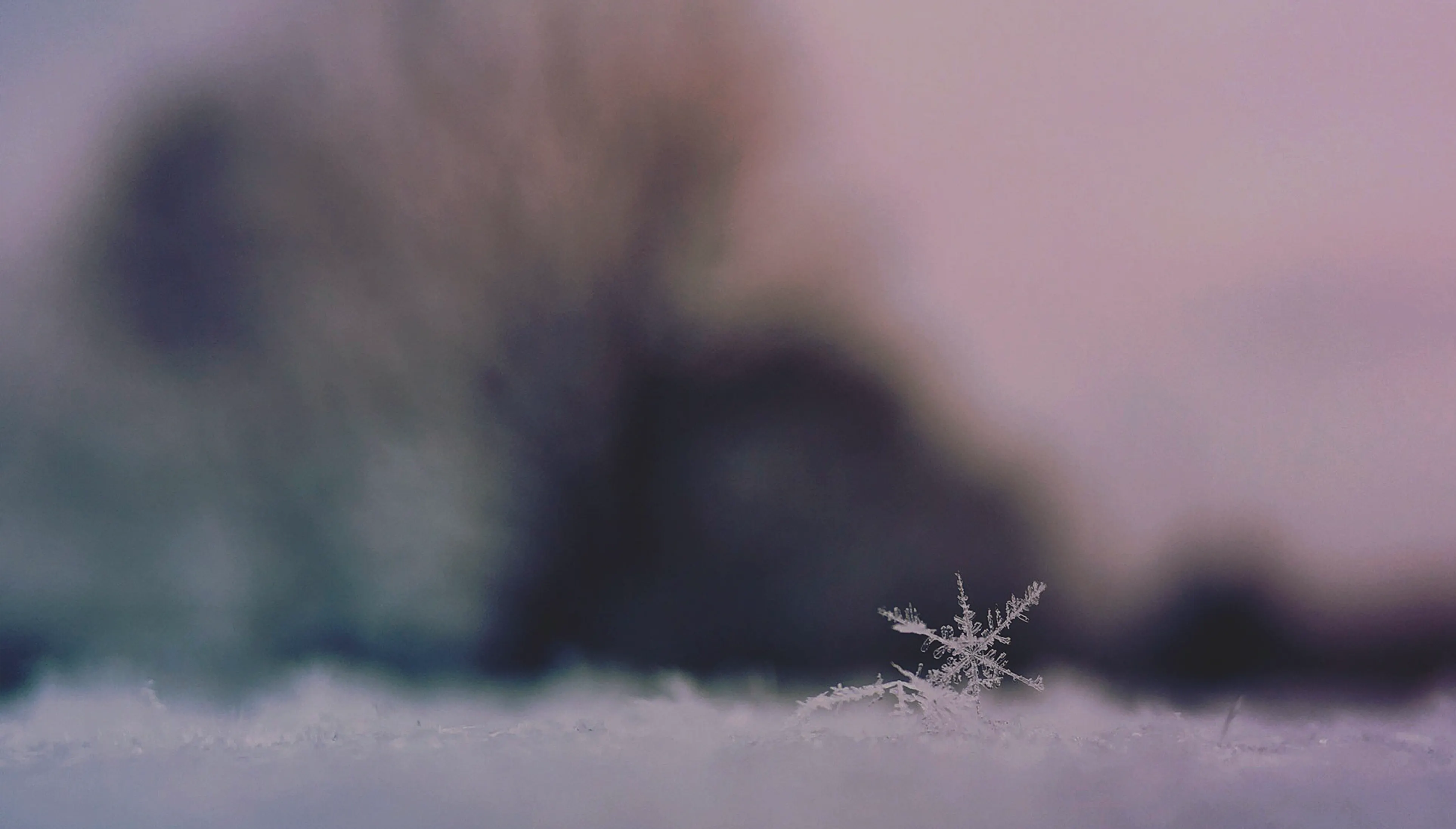 Un cristal de nieve sobre una superficie nevada
