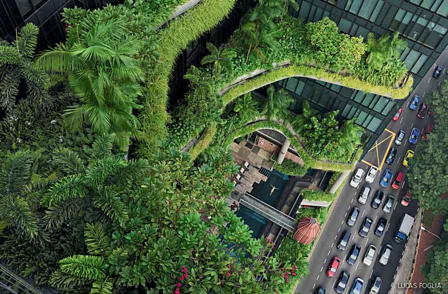 Terrazas curvas de un edificio cubiertas de árboles, palmeras y vegetación, vistas desde arriba junto a una avenida.