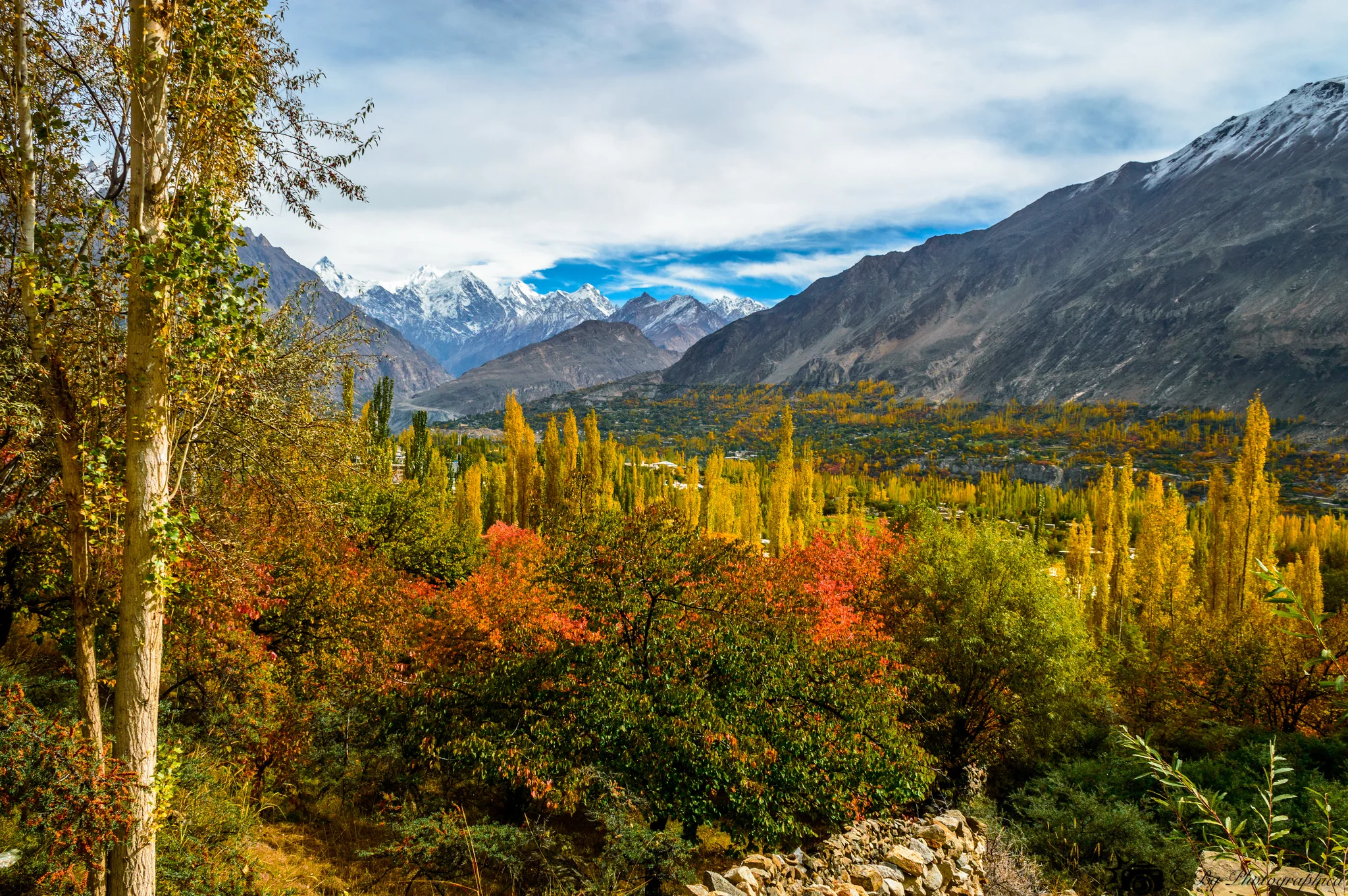 Hunza valley in full autumn bloom with golden and crimson trees framed by snow-capped peaks.