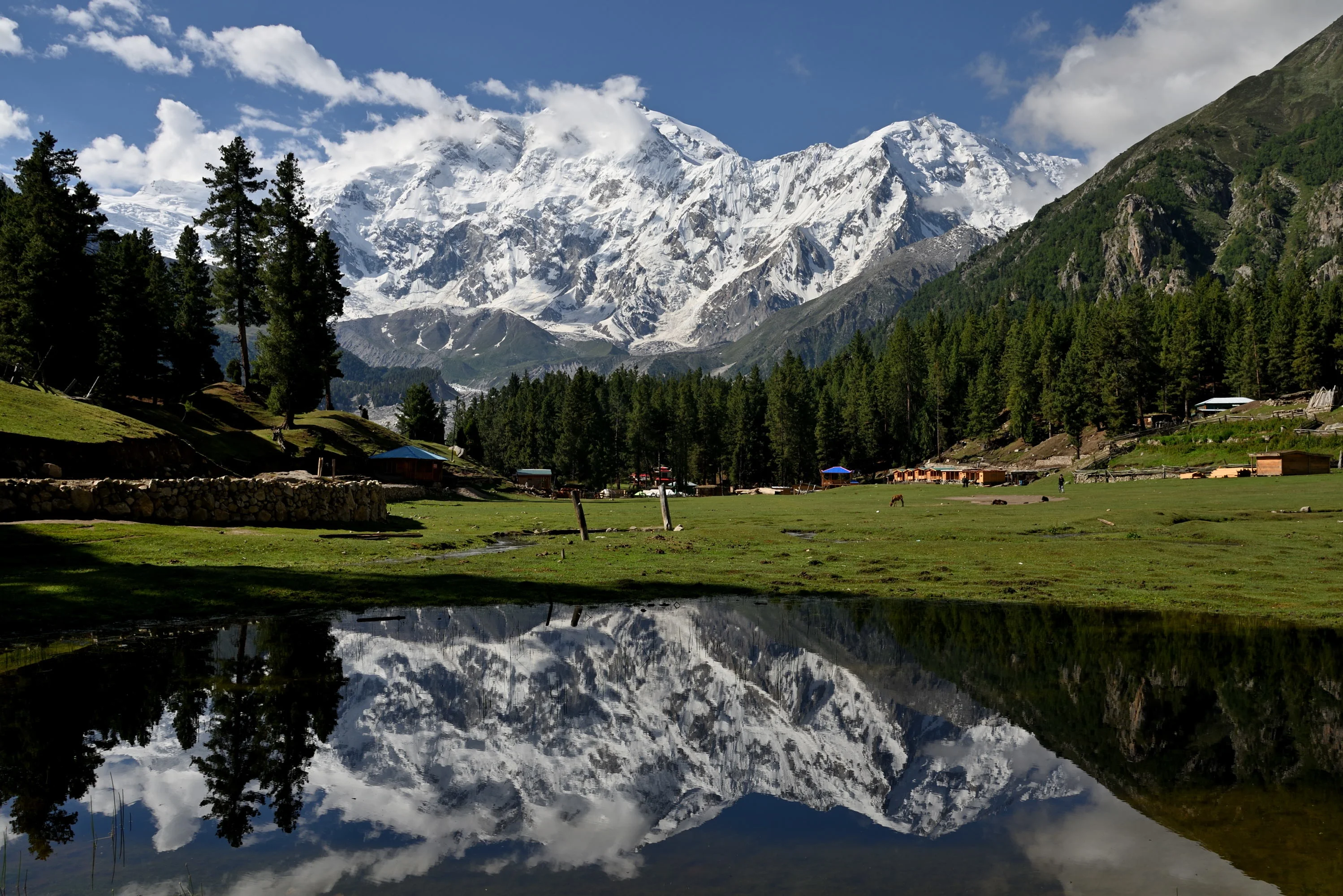 Nanga Parbat reflects on a still pond at Fairy Meadows, surrounded by pine trees and cabins.