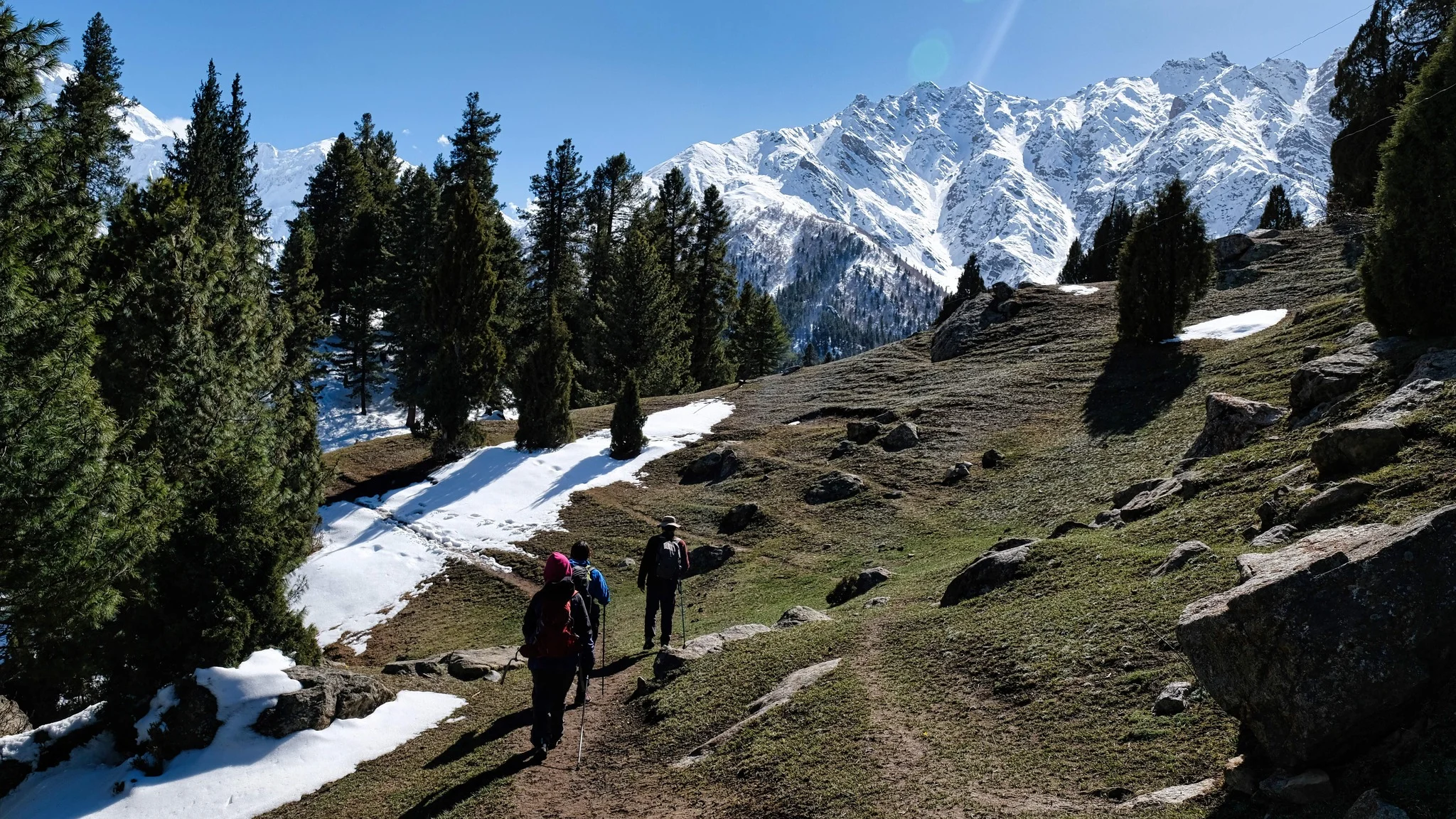 Hikers trek toward Nanga Parbat View Point on a forested trail with snowy peaks ahead.