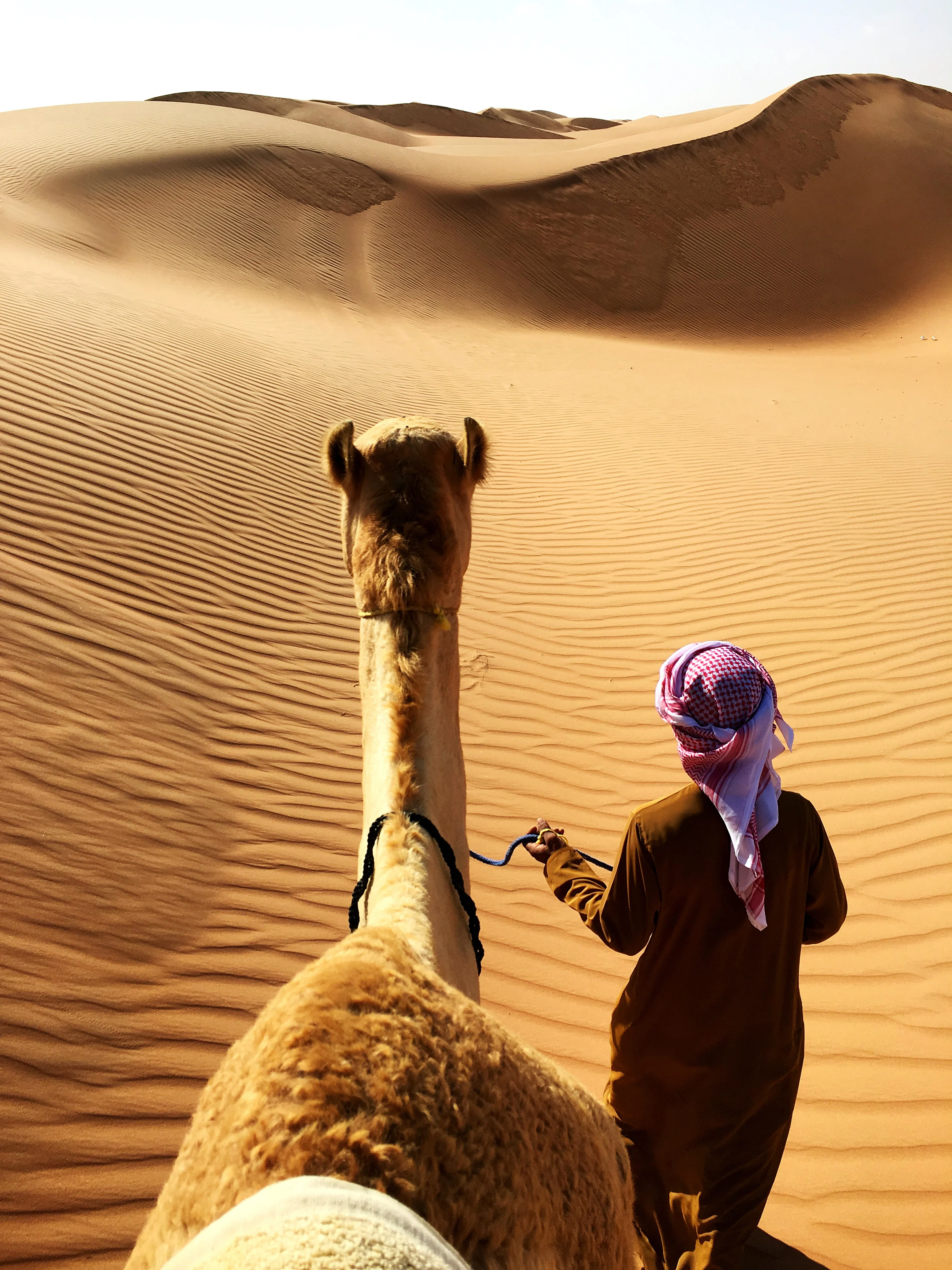 Man leading camel across rolling sand dunes on a desert Oman tour.