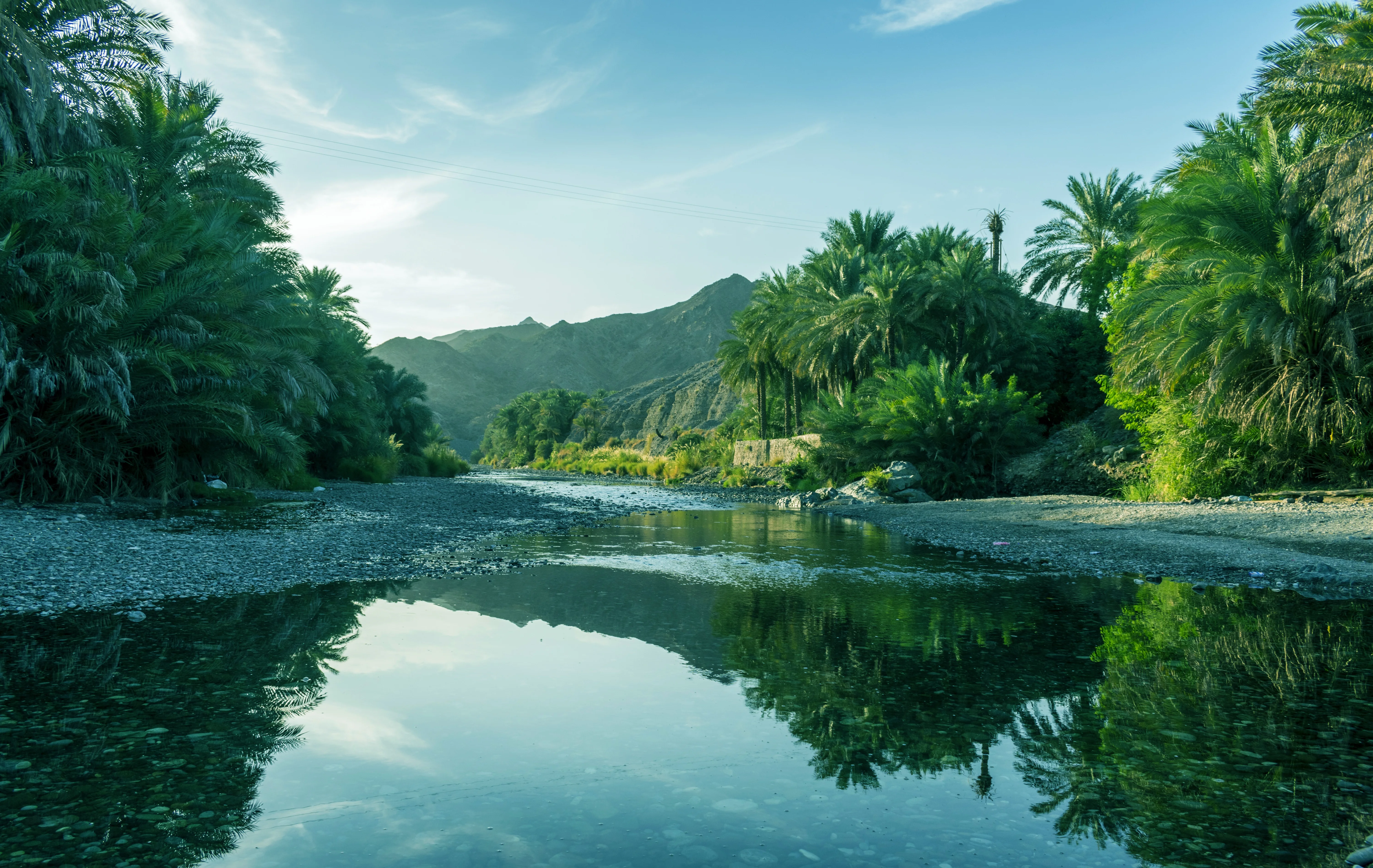 Palm-lined wadi stream reflecting trees and mountains on an Oman tour.