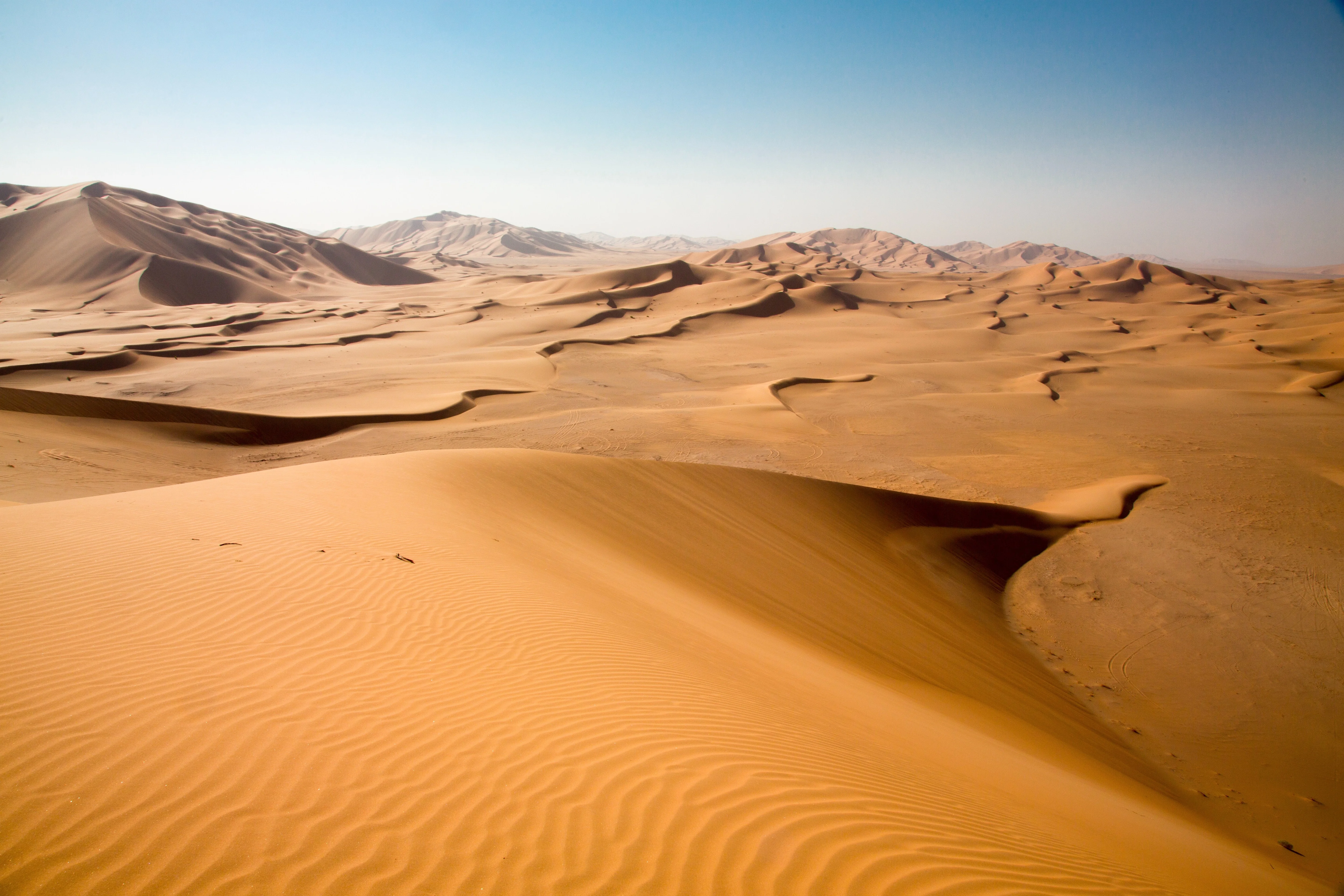 Vast golden dunes of the Empty Quarter desert stretching across an Oman tour.