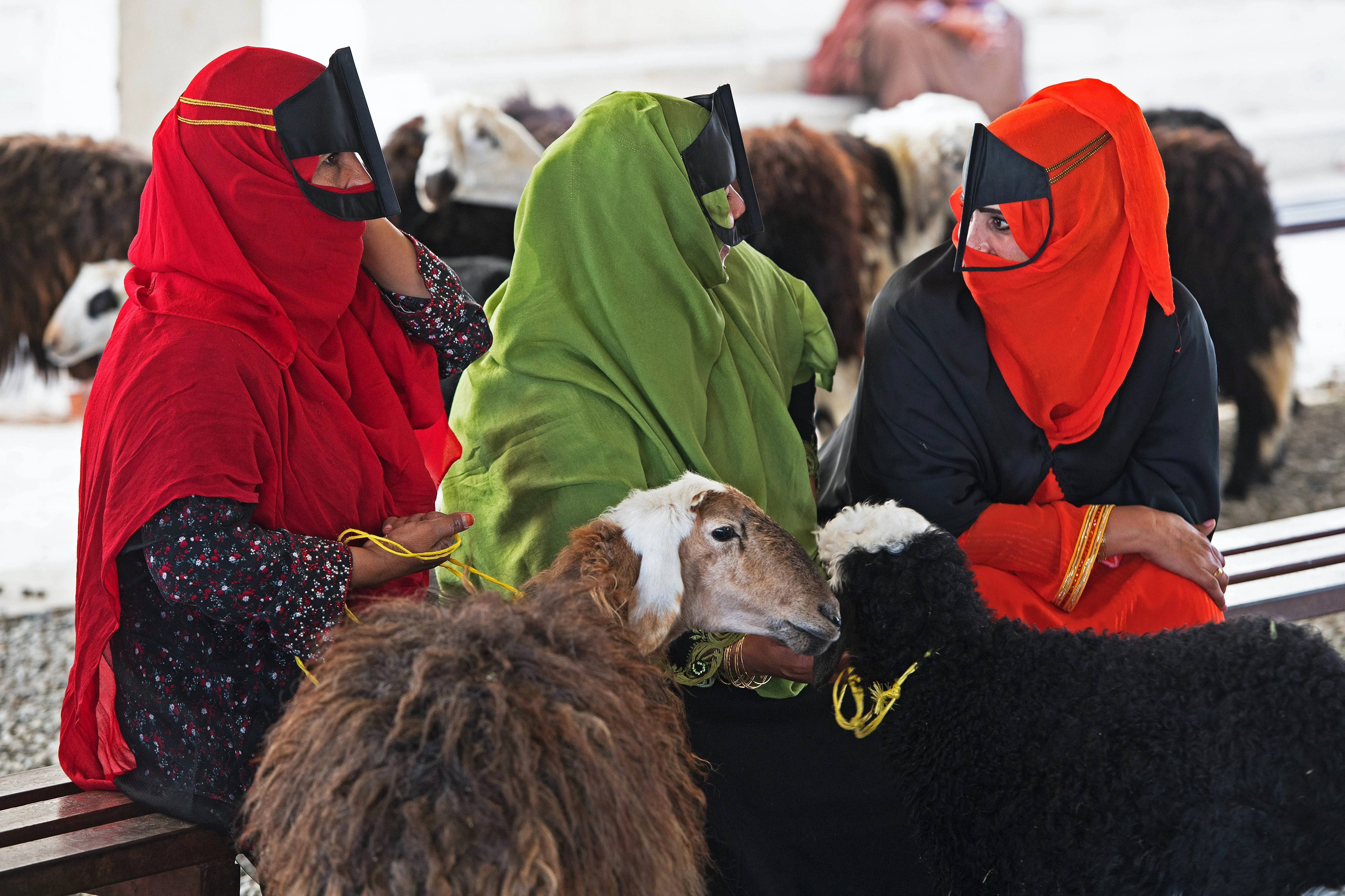 Omani women in traditional dress at a livestock market during an Oman tour.