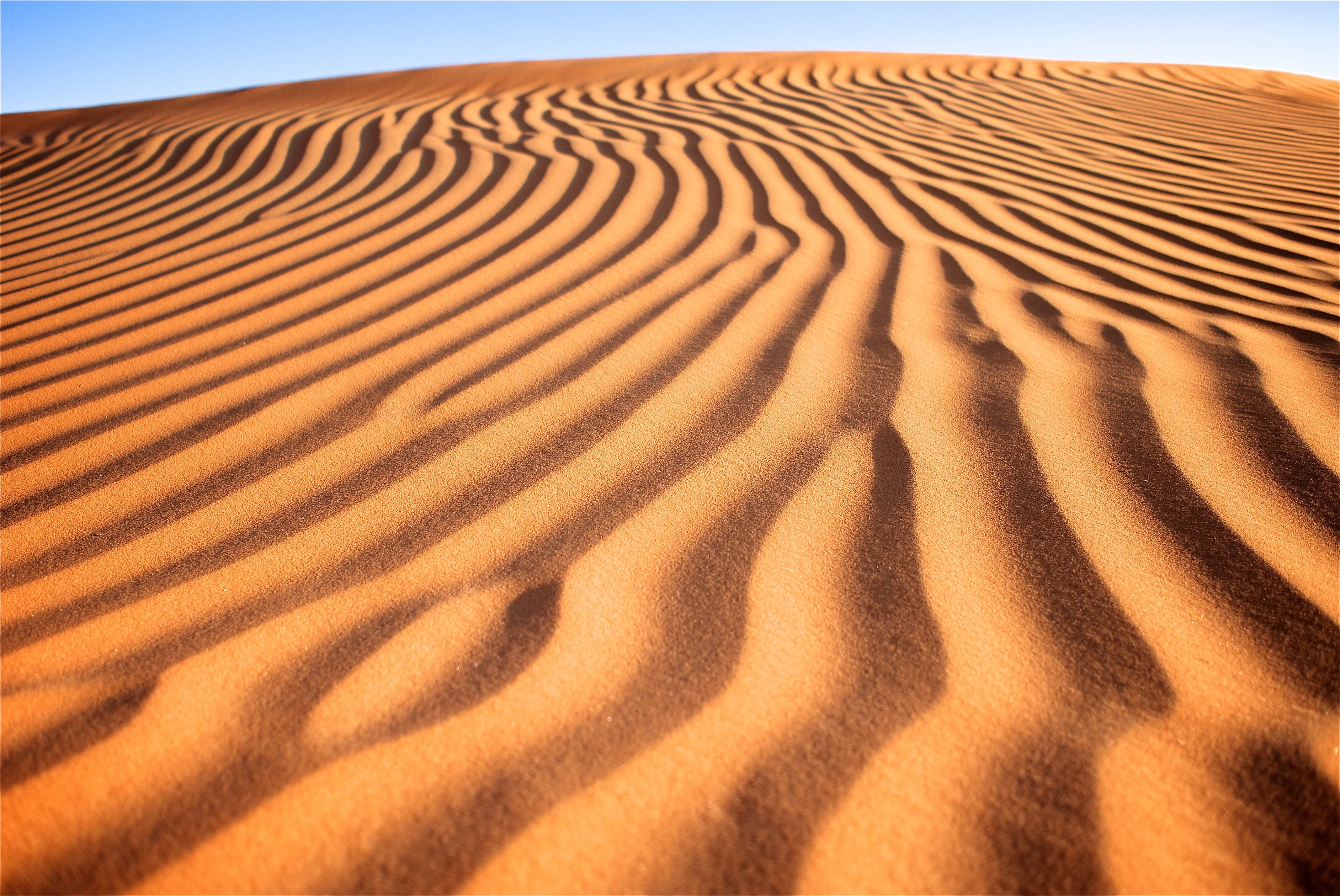 Golden sand dunes with wind-formed ripples in the desert