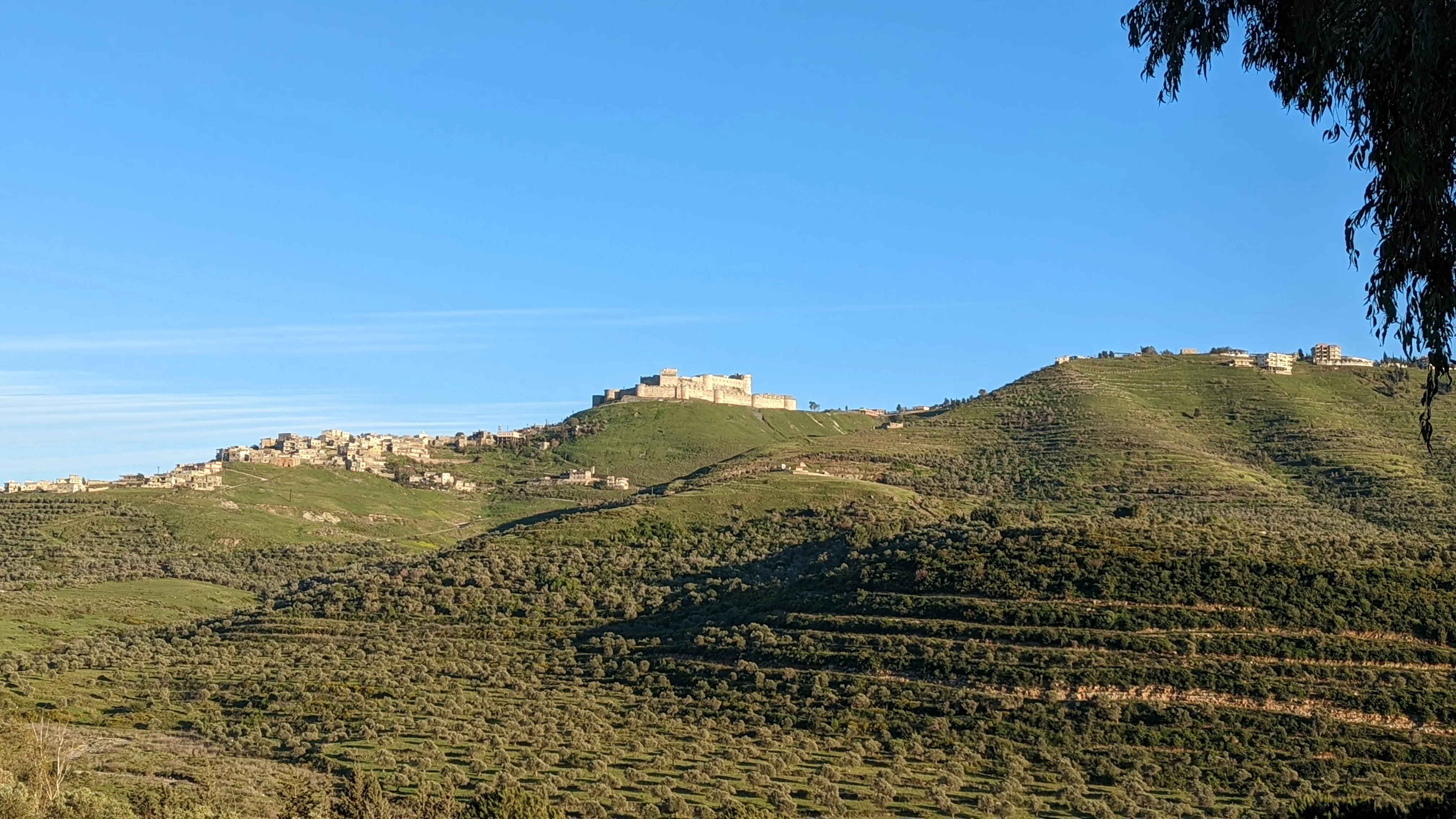 Krak des Chevaliers castle viewed from afar, dominating the landscape with thick fortified walls
