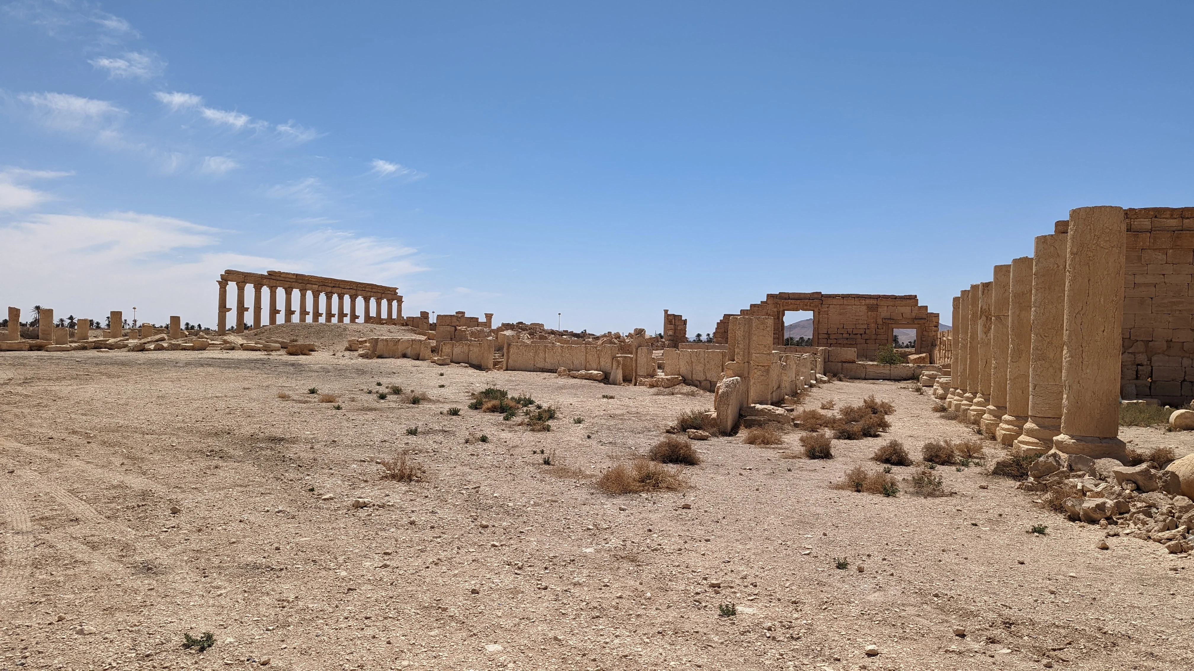 Wide view of Palmyra ruins with colonnades, broken walls, and sandy terrain stretching into the distance