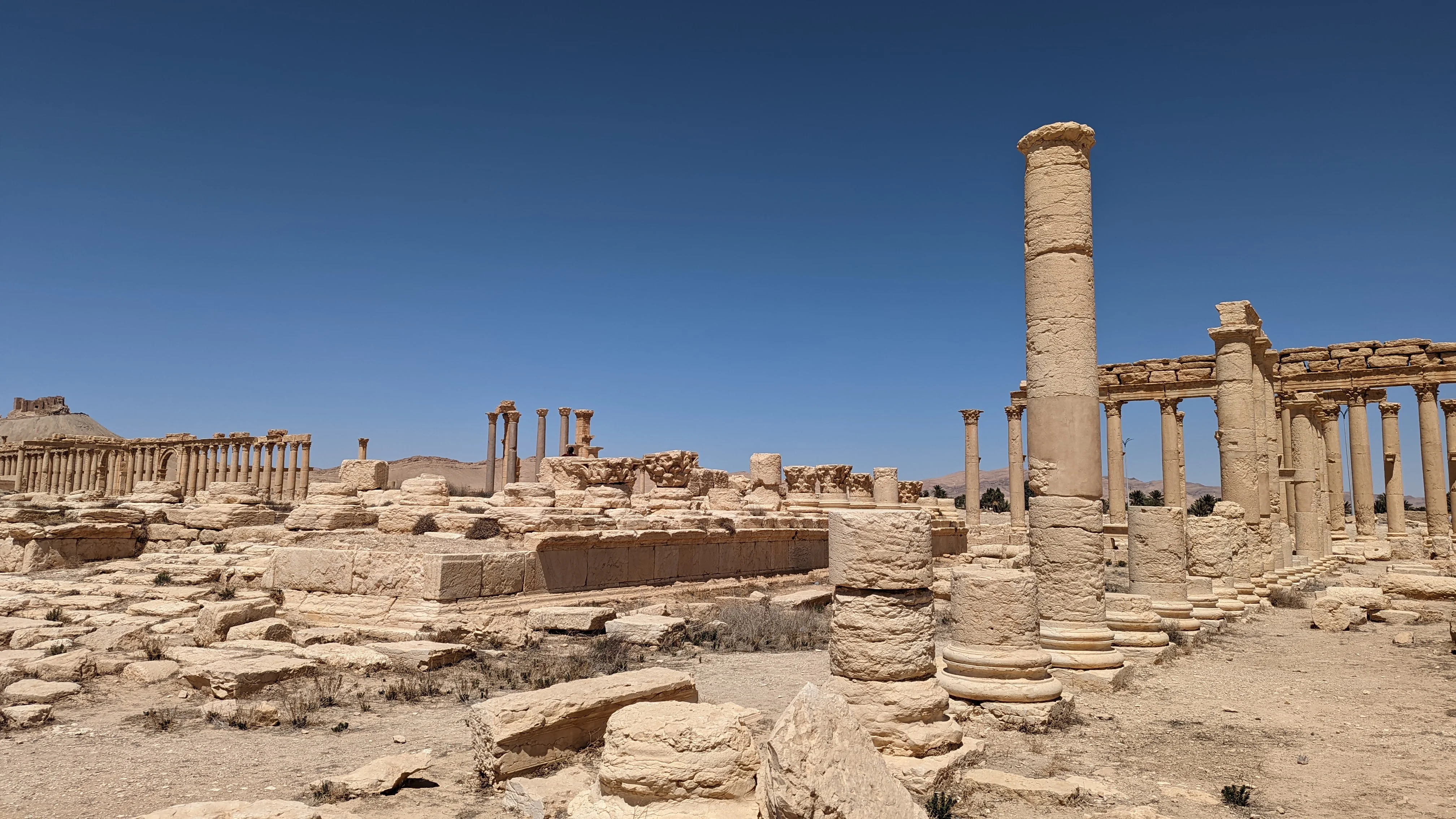 Ancient ruins of Palmyra with tall stone columns and scattered remnants under a clear desert sky