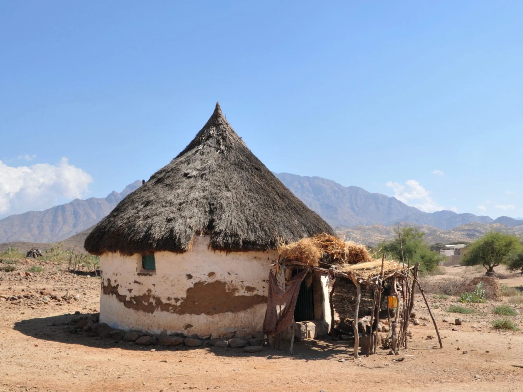 Traditional Eritrean tukul hut with thatched roof and mud walls, set in arid landscape with mountains and blue sky