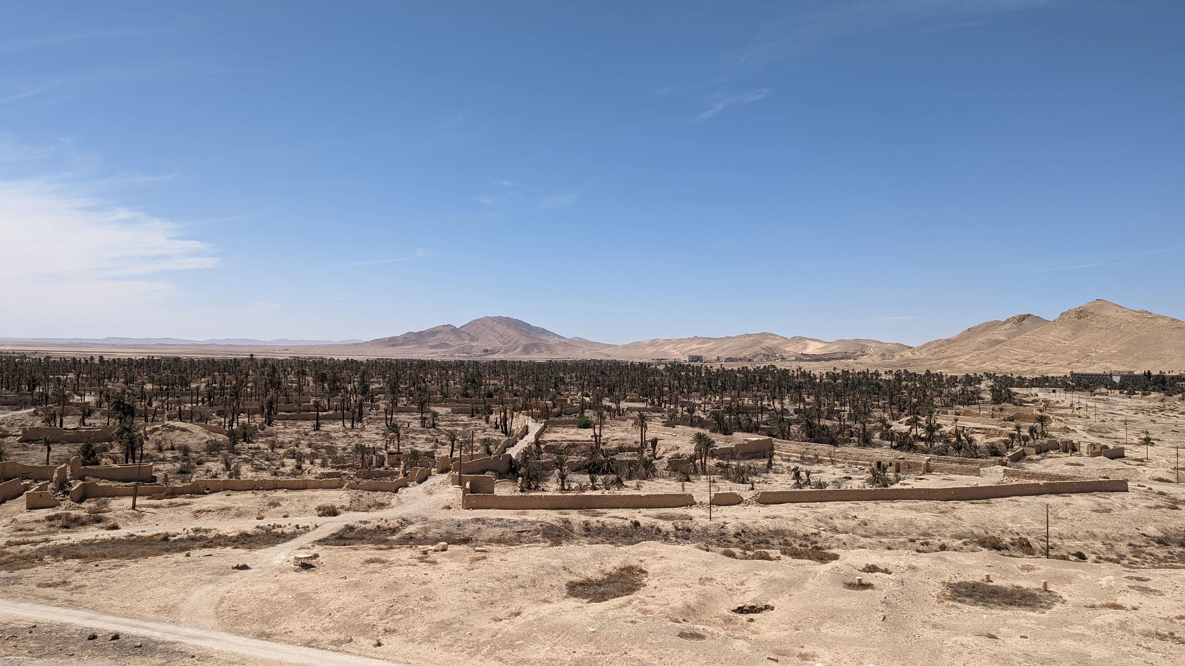 Palm grove and desert ruins of Palmyra stretching toward distant arid mountains
