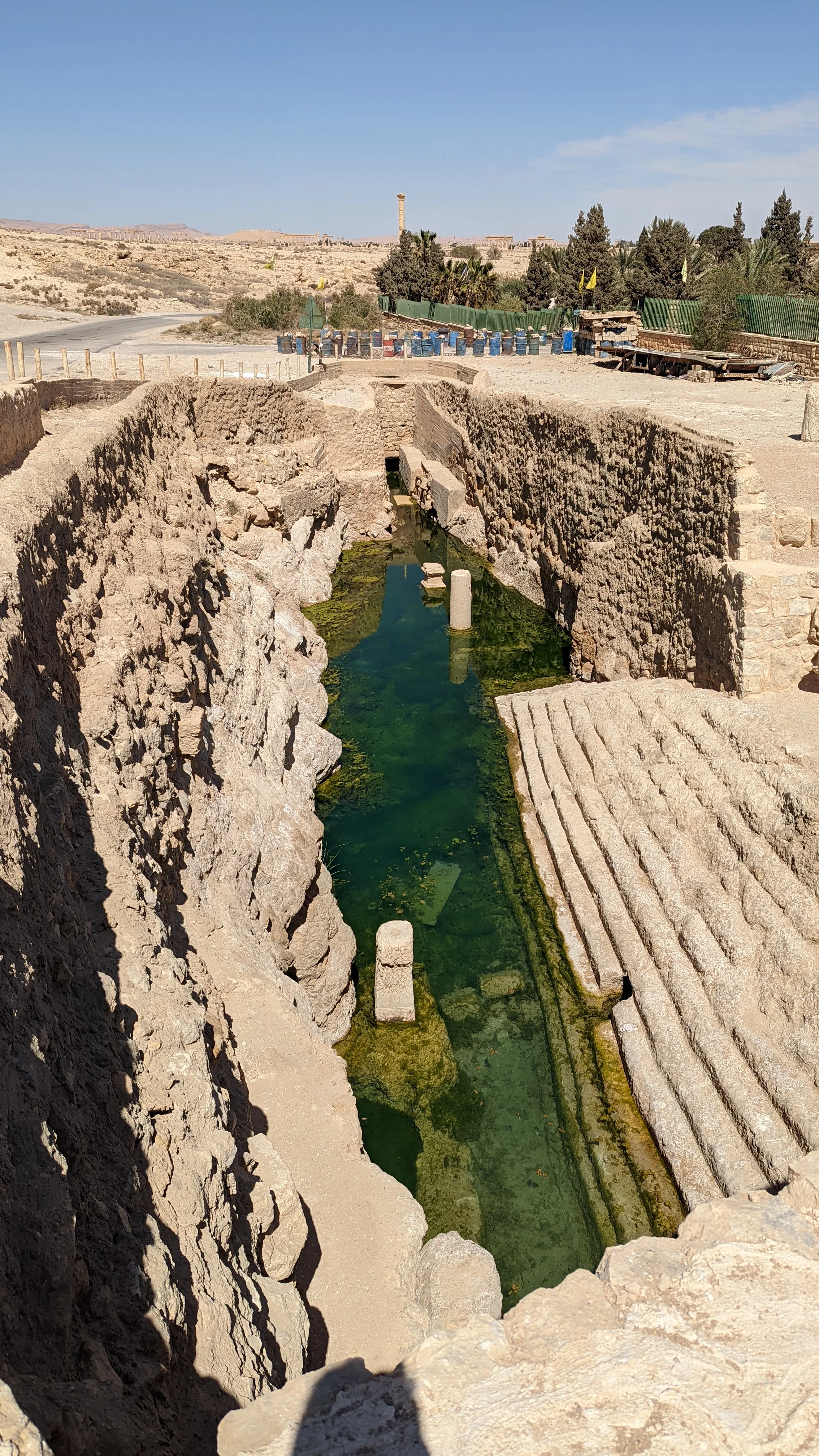 Ancient Palmyra pool with clear green water and carved stone steps in an excavated pit