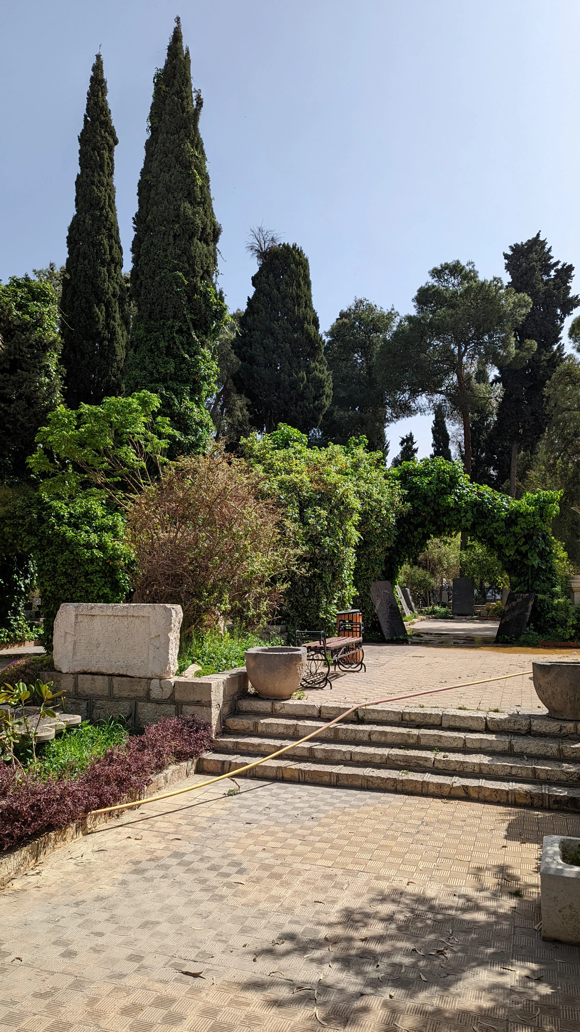 Lush garden path at the National Museum of Damascus framed by stone benches and tall cypress trees