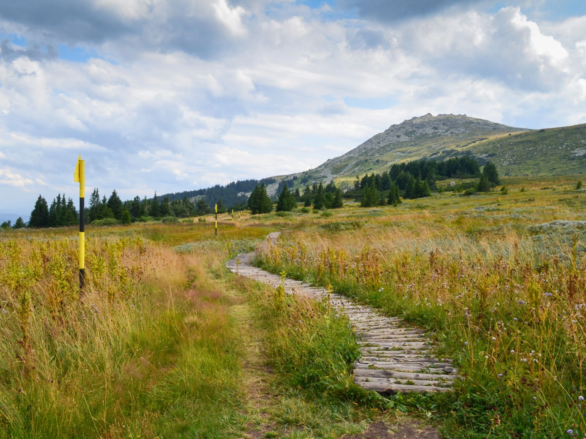 Wooden hiking trail on Vitosha Mountain with yellow markers, Bulgaria nature walk.
