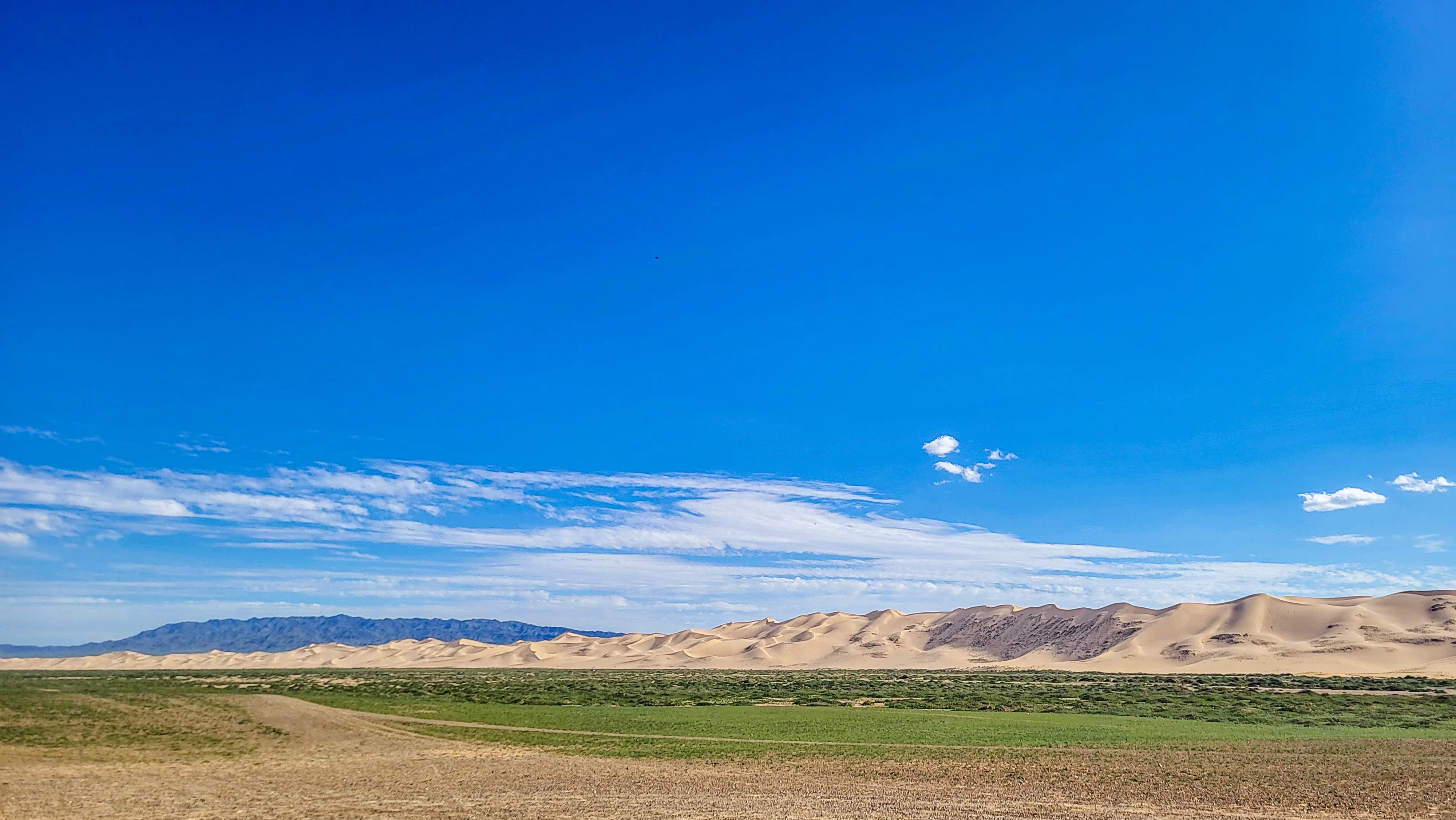 Mongolia sand dunes stretching under blue sky at Gobi Desert National Park.