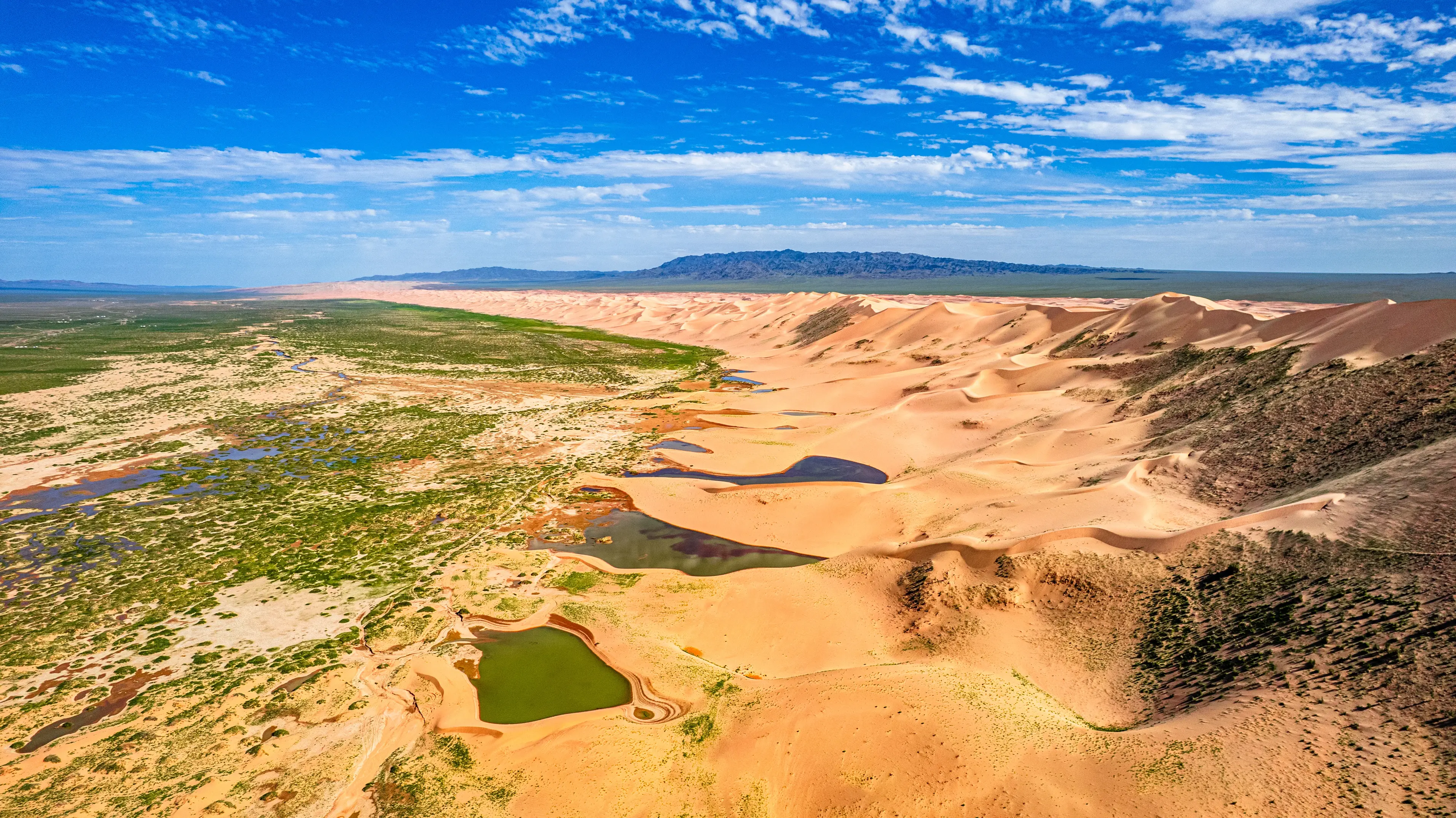 Golden sand dunes and oases in Mongolia's Khongoryn Els Gobi Desert.