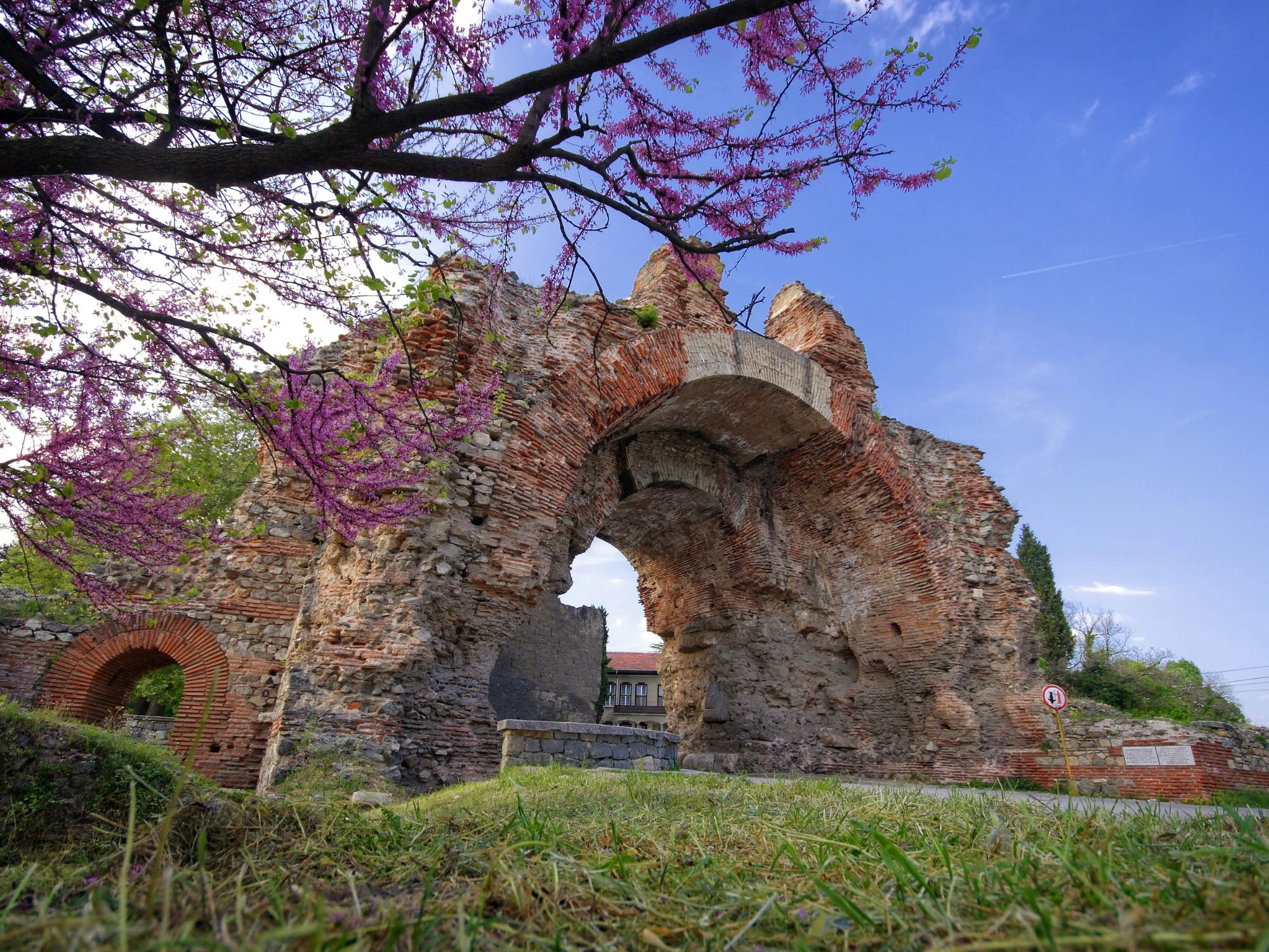 Roman brick ruins under blooming pink trees, historic arch remains on green field.