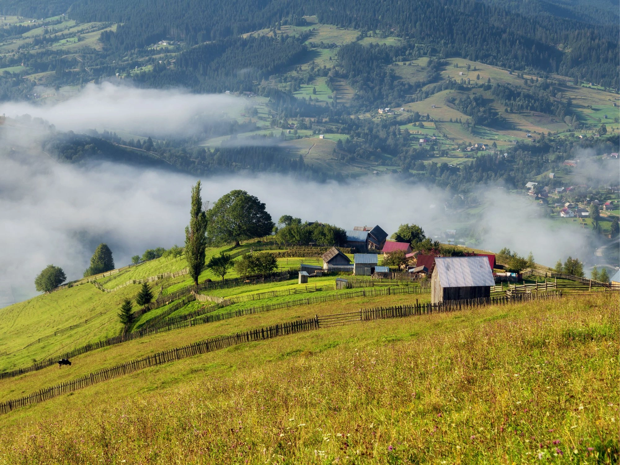 Fog rolling over a rural hillside village in Bucovina, with wooden houses and fences.