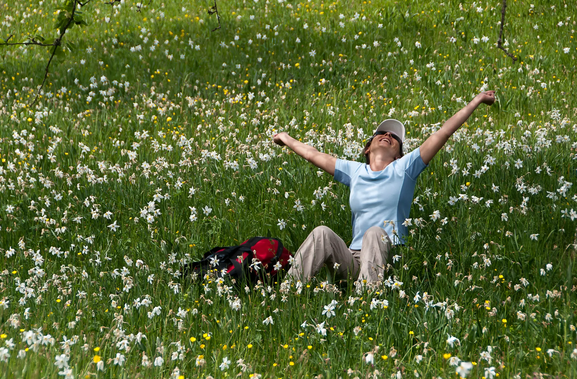 Happy woman with arms raised sitting in a meadow of blooming wild narcissus and buttercups