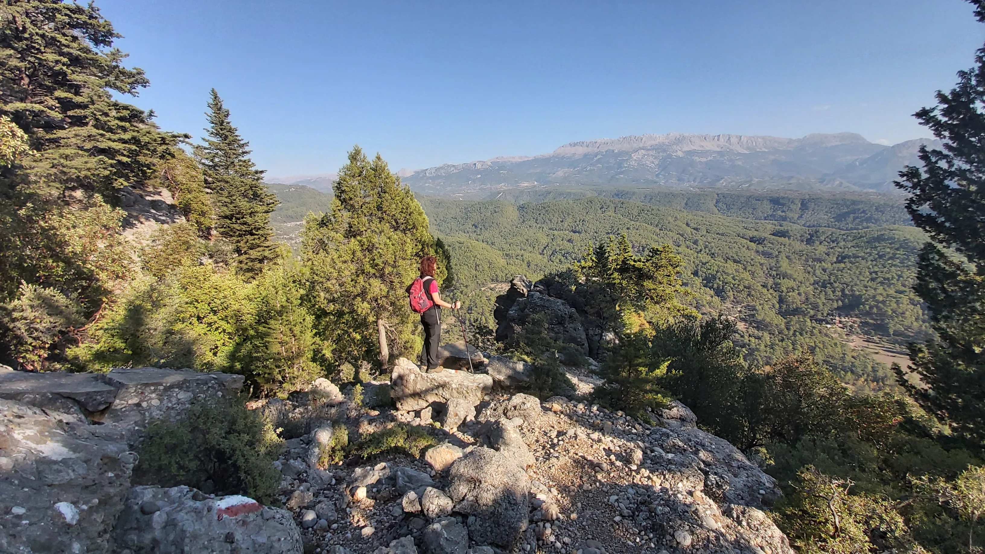Vast rock formations – A stunning view of rock pillars and pine trees with distant mountains under a bright blue sky.