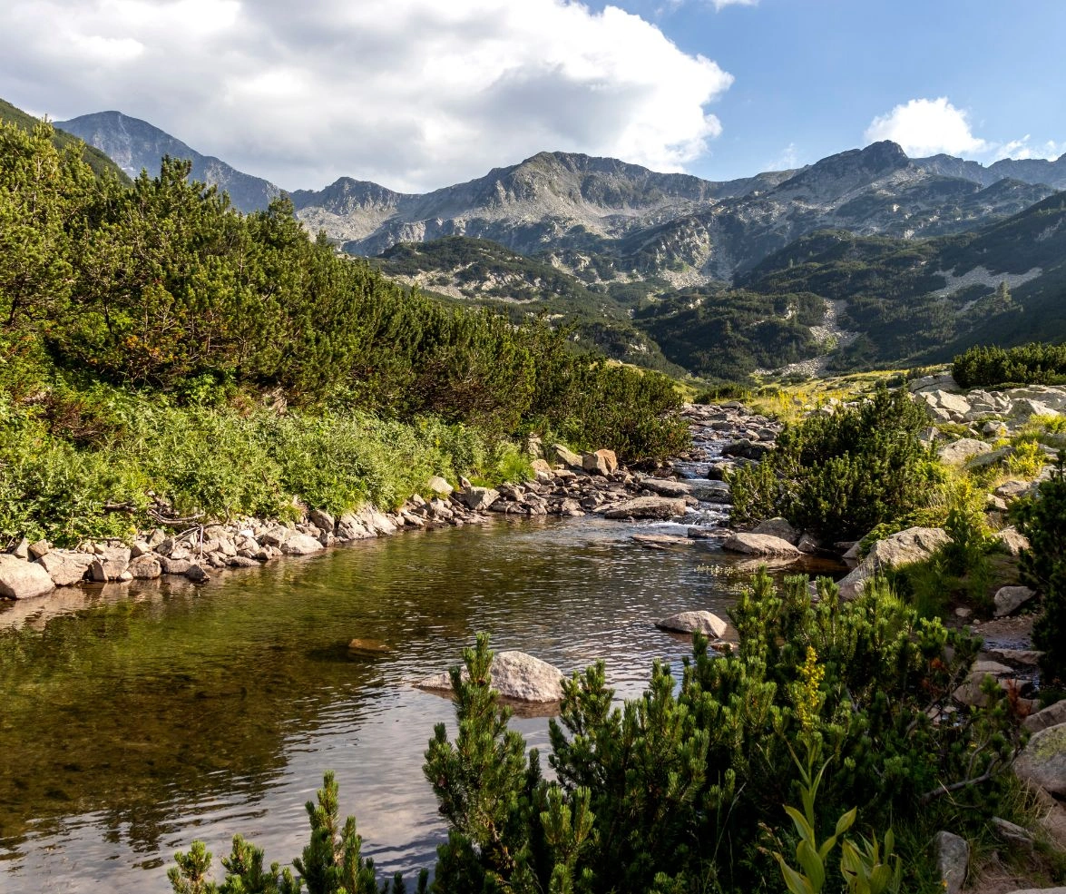 A mountain river flows through lush greenery in Pirin Mountain, Bulgaria, with scenic peaks in the background.