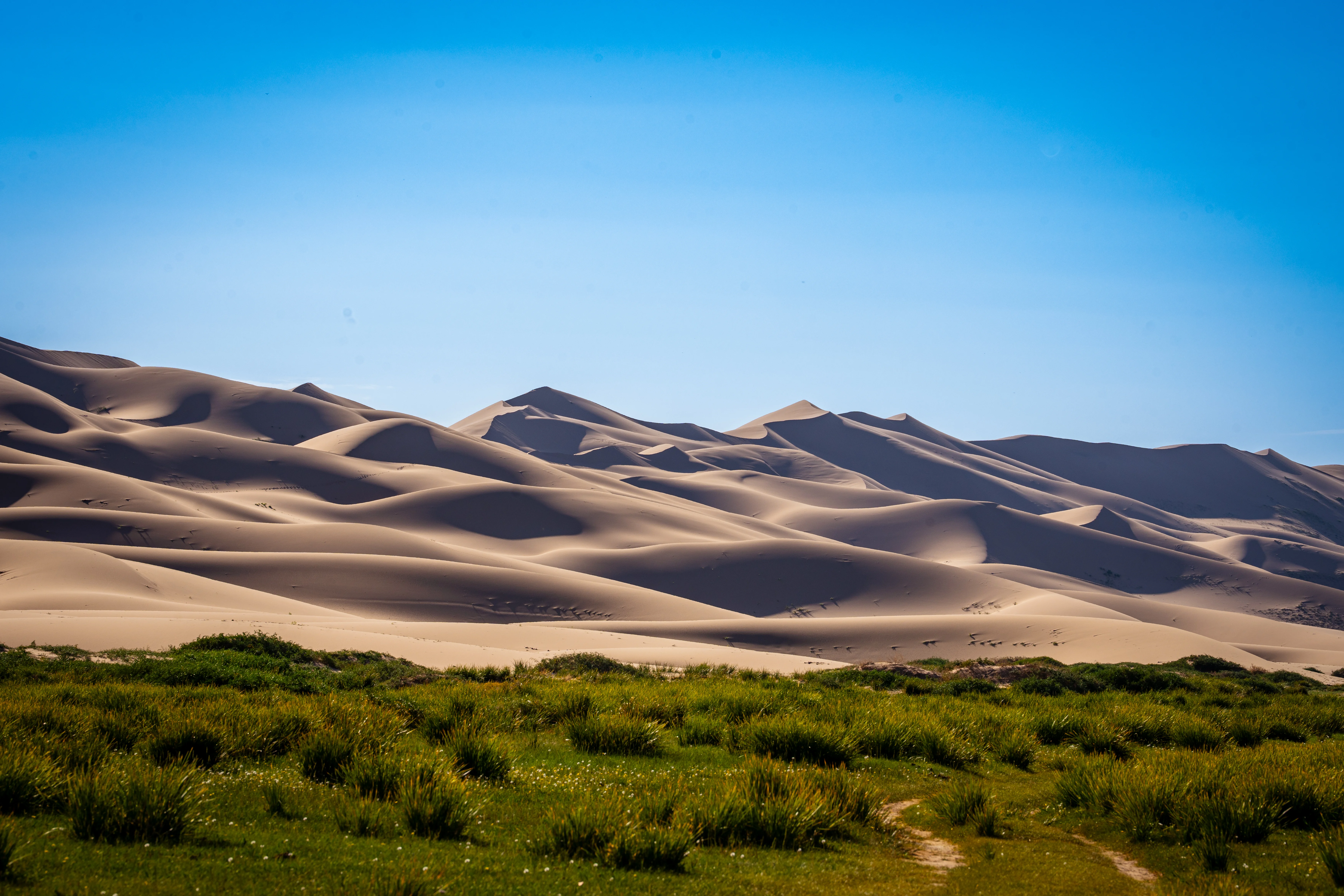 Sand dunes of Khongoryn Els rolling under bright blue Mongolian sky.