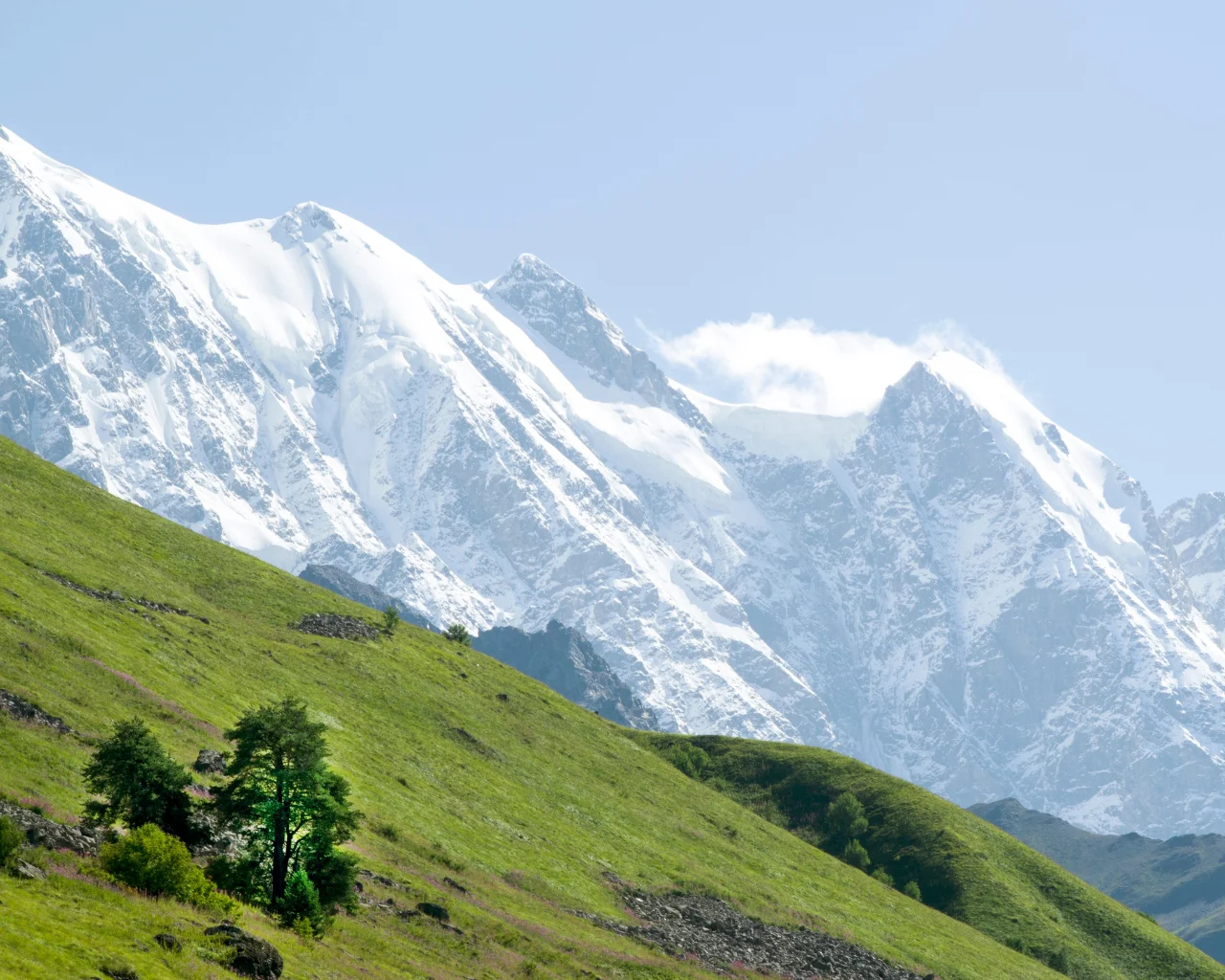 A bright green hillside contrasts with massive snow-covered mountains under a clear sky in Svaneti, Georgia.