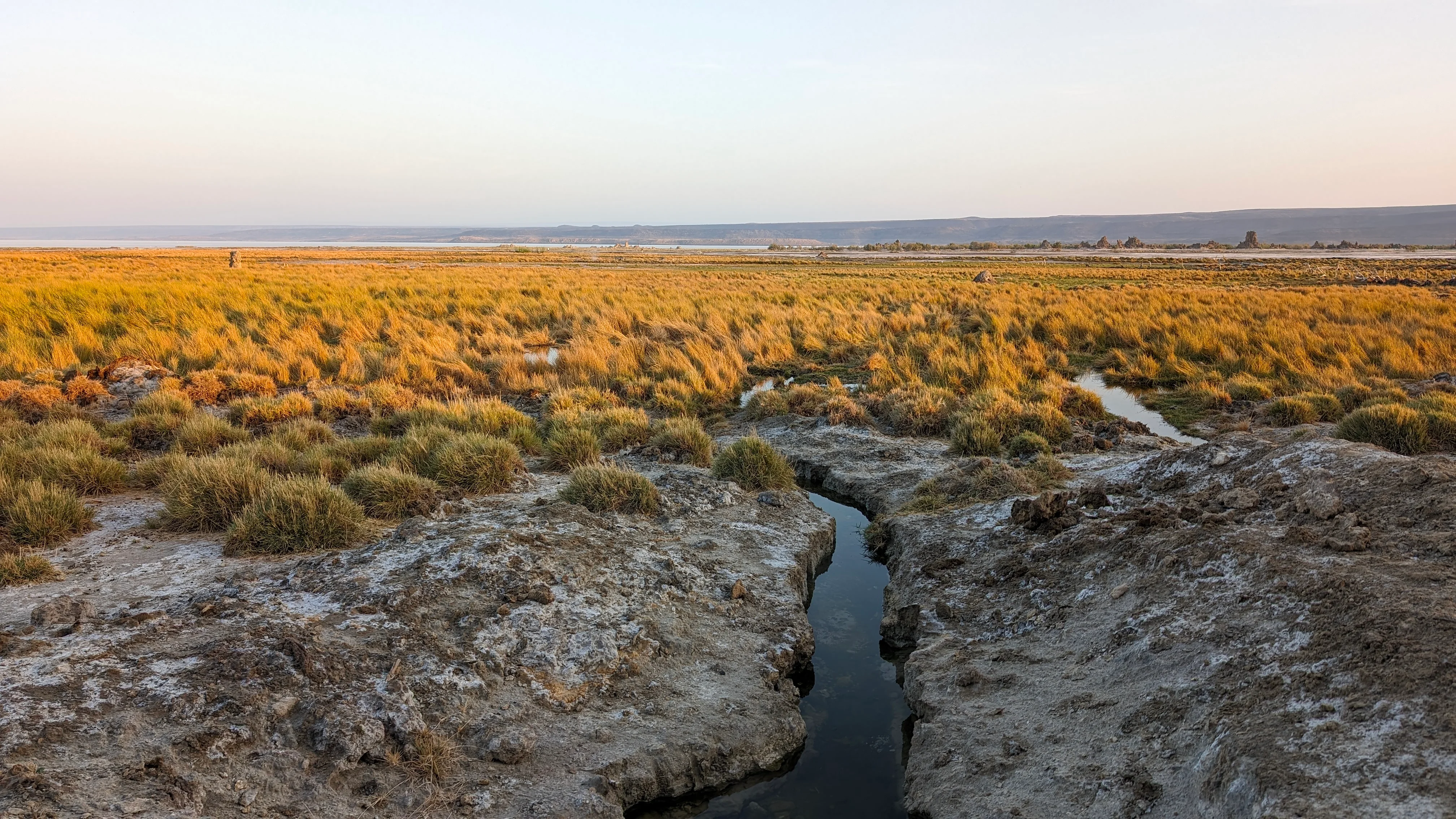 Golden grasslands and shallow streams at Lake Abbe during Djibouti.