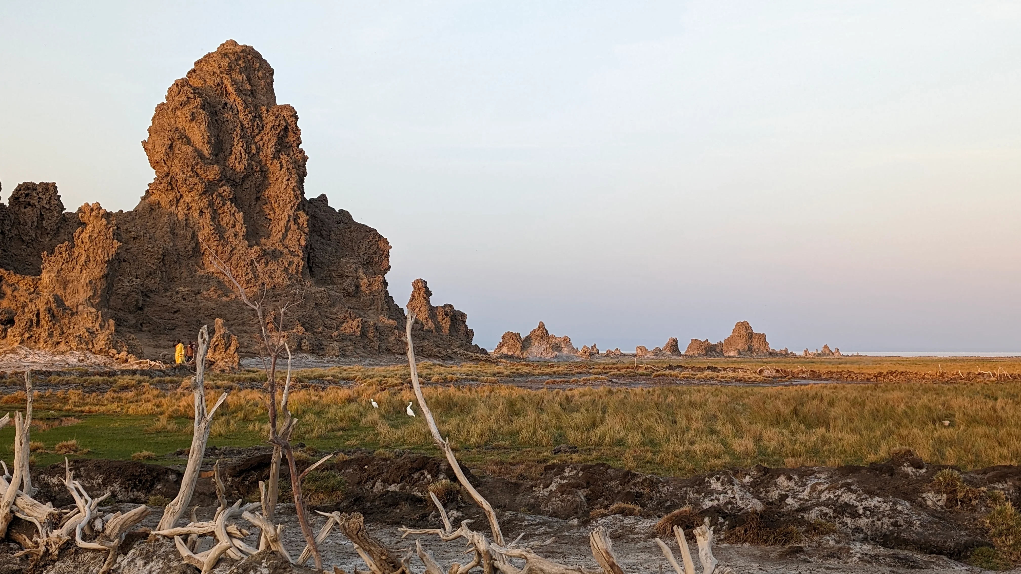 Towering rock spires and grassy plains at Lake Abbe in Djibouti.