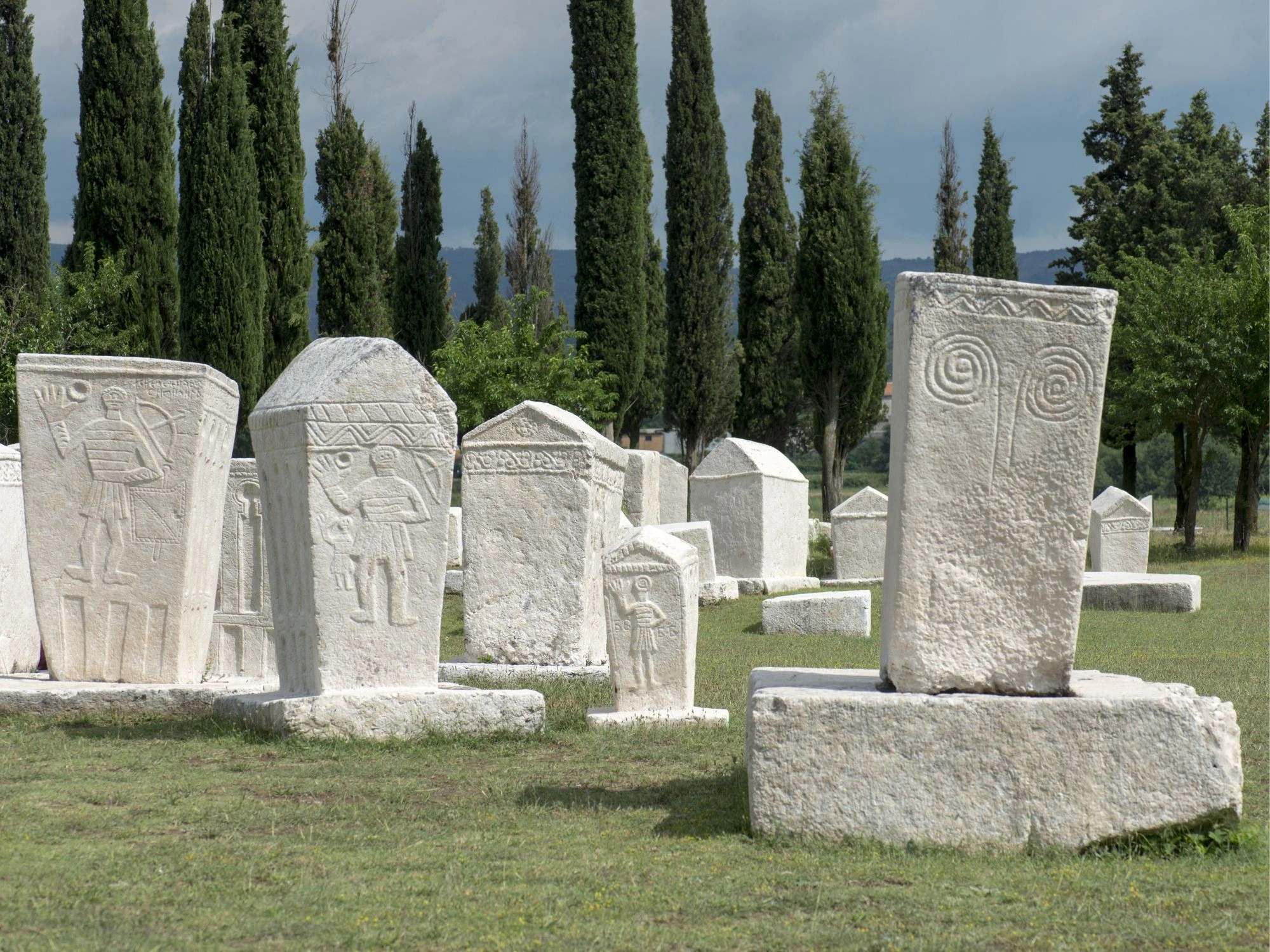 Field of medieval stećci tombstones carved with spirals and human figures among cypress trees in Bosnia and Herzegovina.