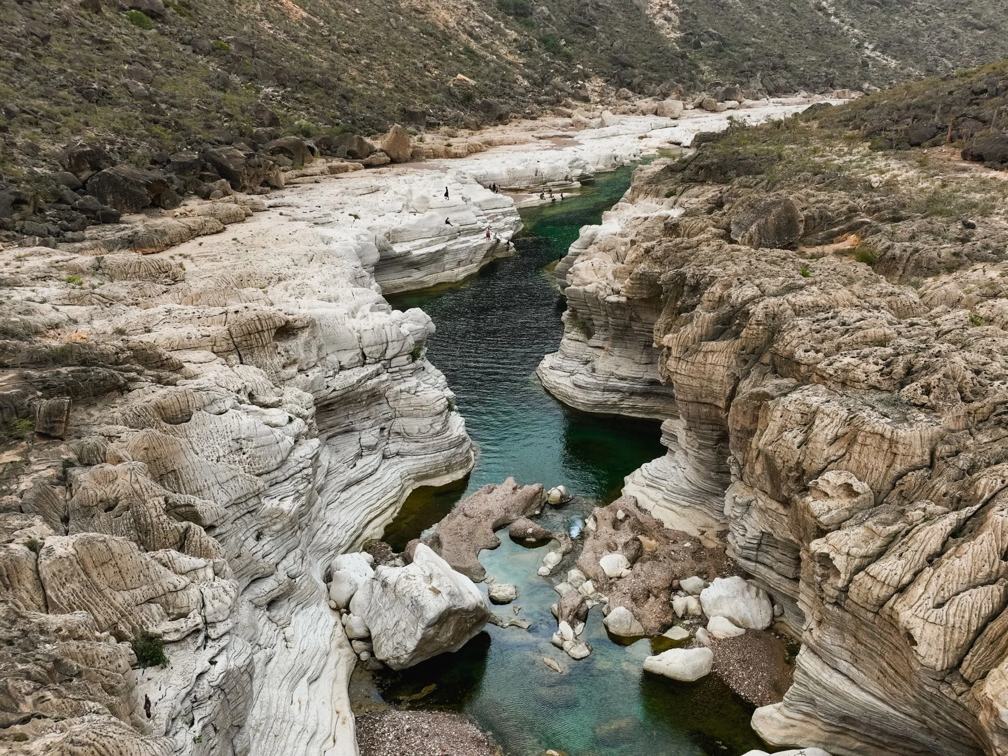 Emerald stream winds through white limestone canyon in Socotra’s Wadi Dirhur oasis.