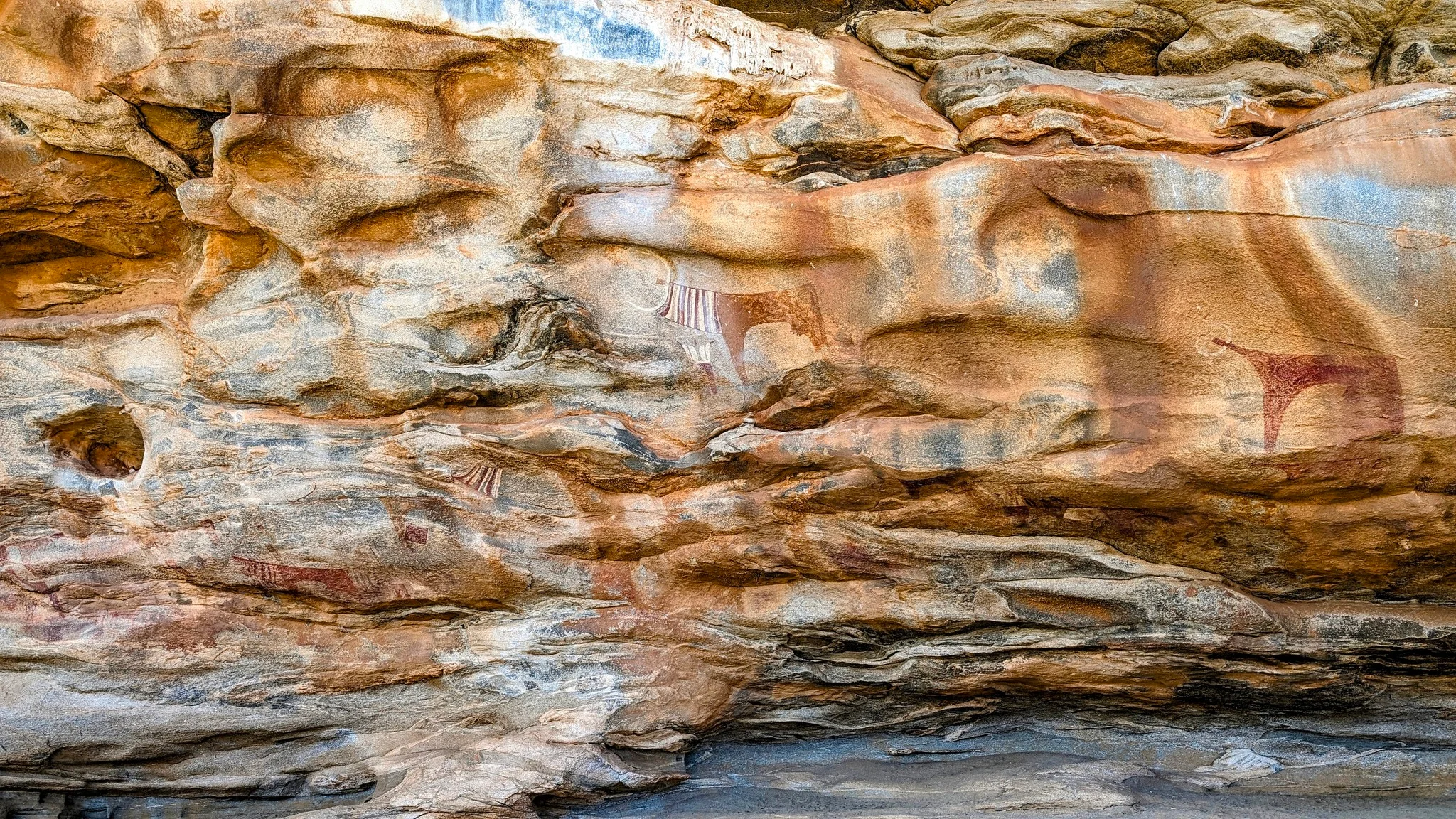Ancient rock art of cattle and geometric patterns adorn sandstone walls at Laas Geel in Somaliland.