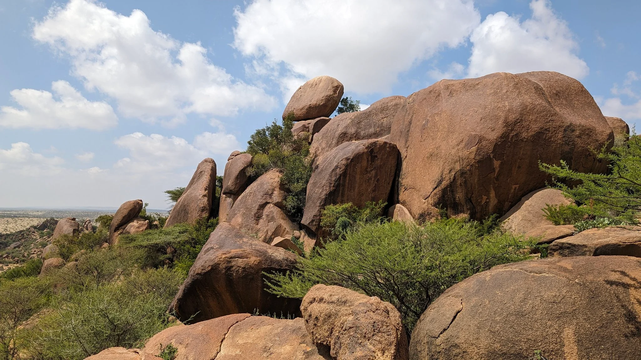 Granite boulders and acacia shrubs dot the rugged hills of Somaliland’s countryside.