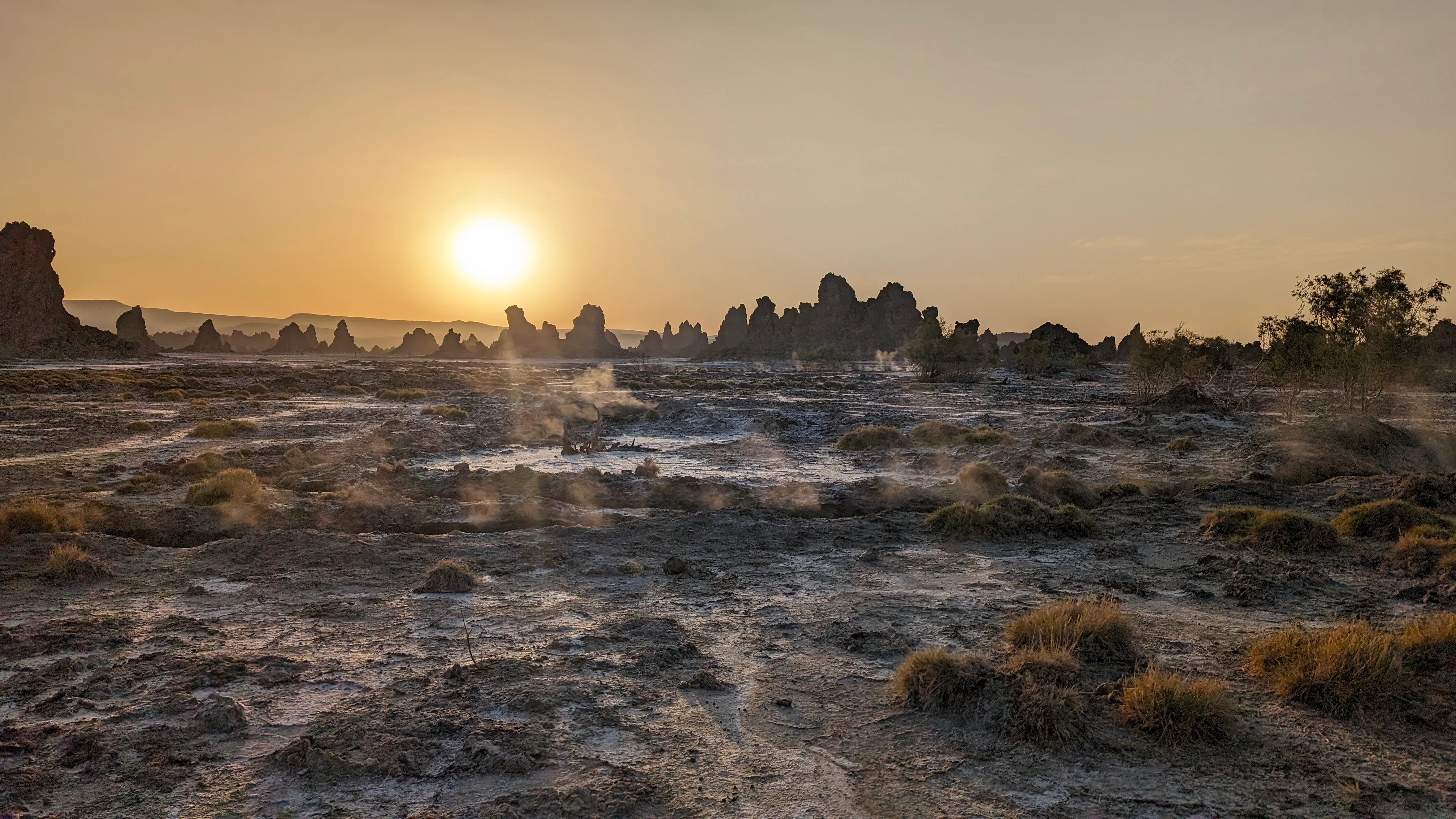 Steaming geothermal fields and limestone chimneys at Djibouti’s Lake Abbe with lone donkey at sunrise.