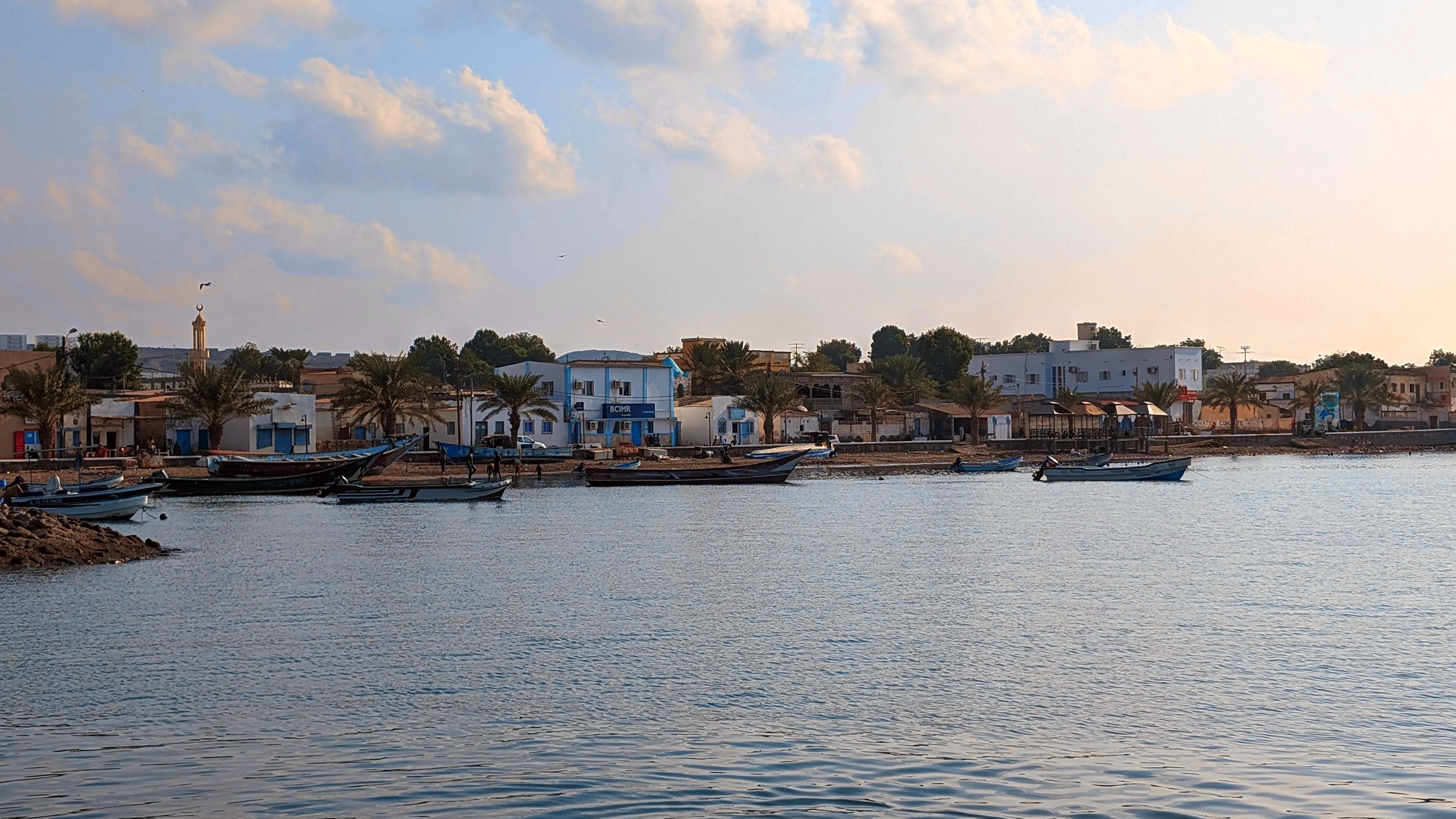 Fishing boats along the palm-lined waterfront of a Somaliland coastal town under soft evening light.