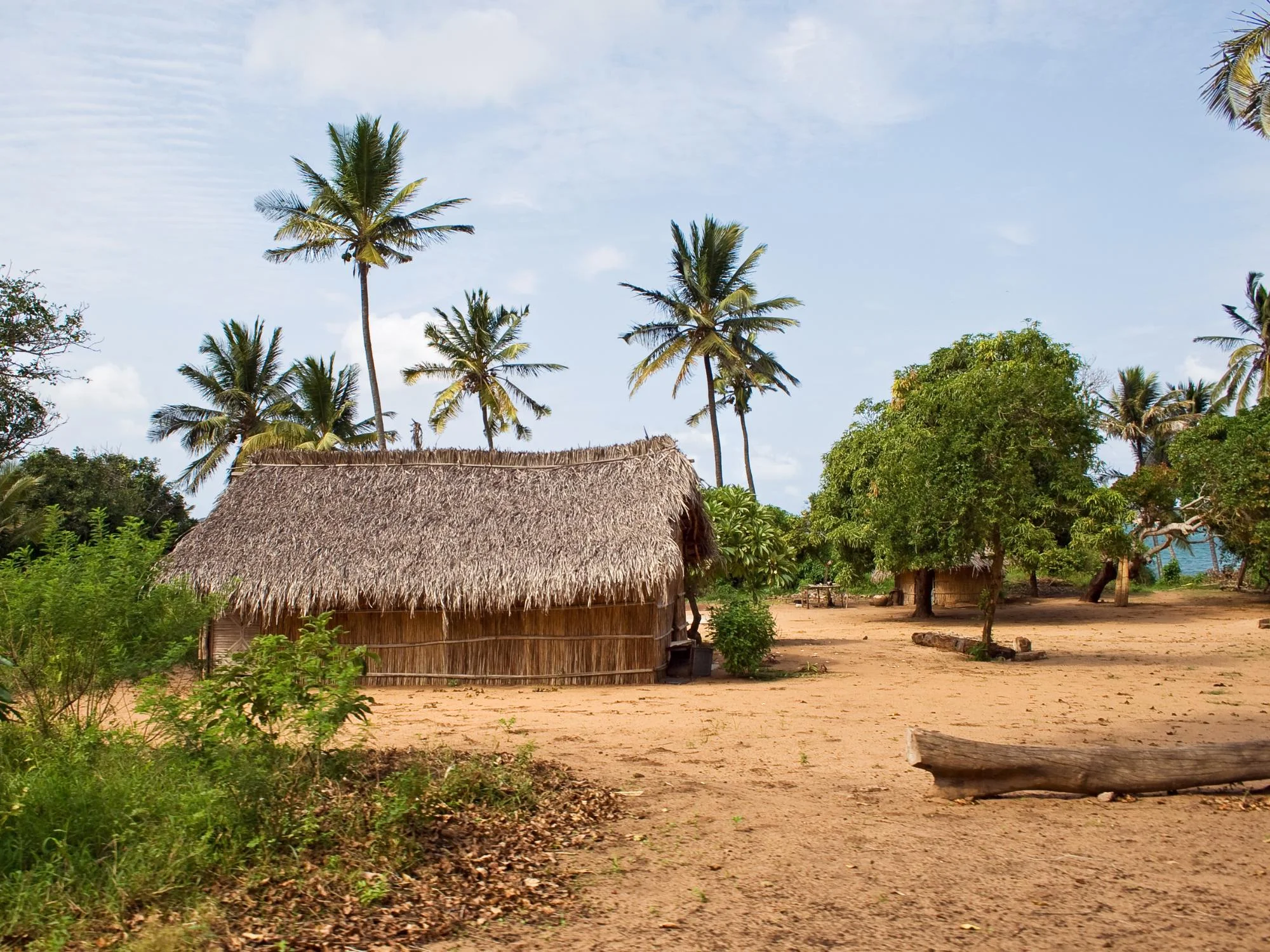 Traditional thatched-roof hut among coconut palms with a dugout canoe in a coastal village, Mozambique