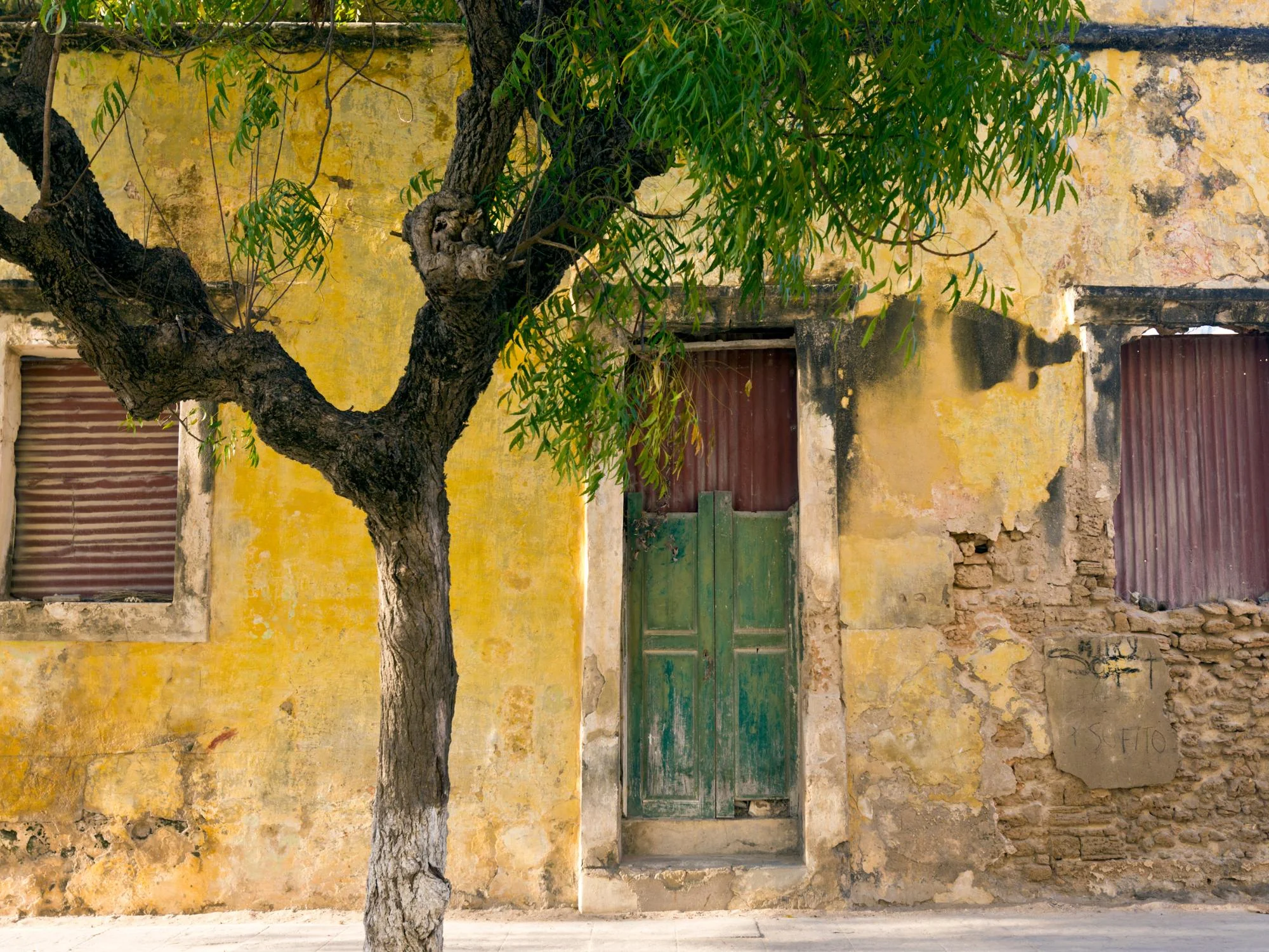Weathered yellow colonial building with a faded green door and gnarled shade tree on a Mozambican street