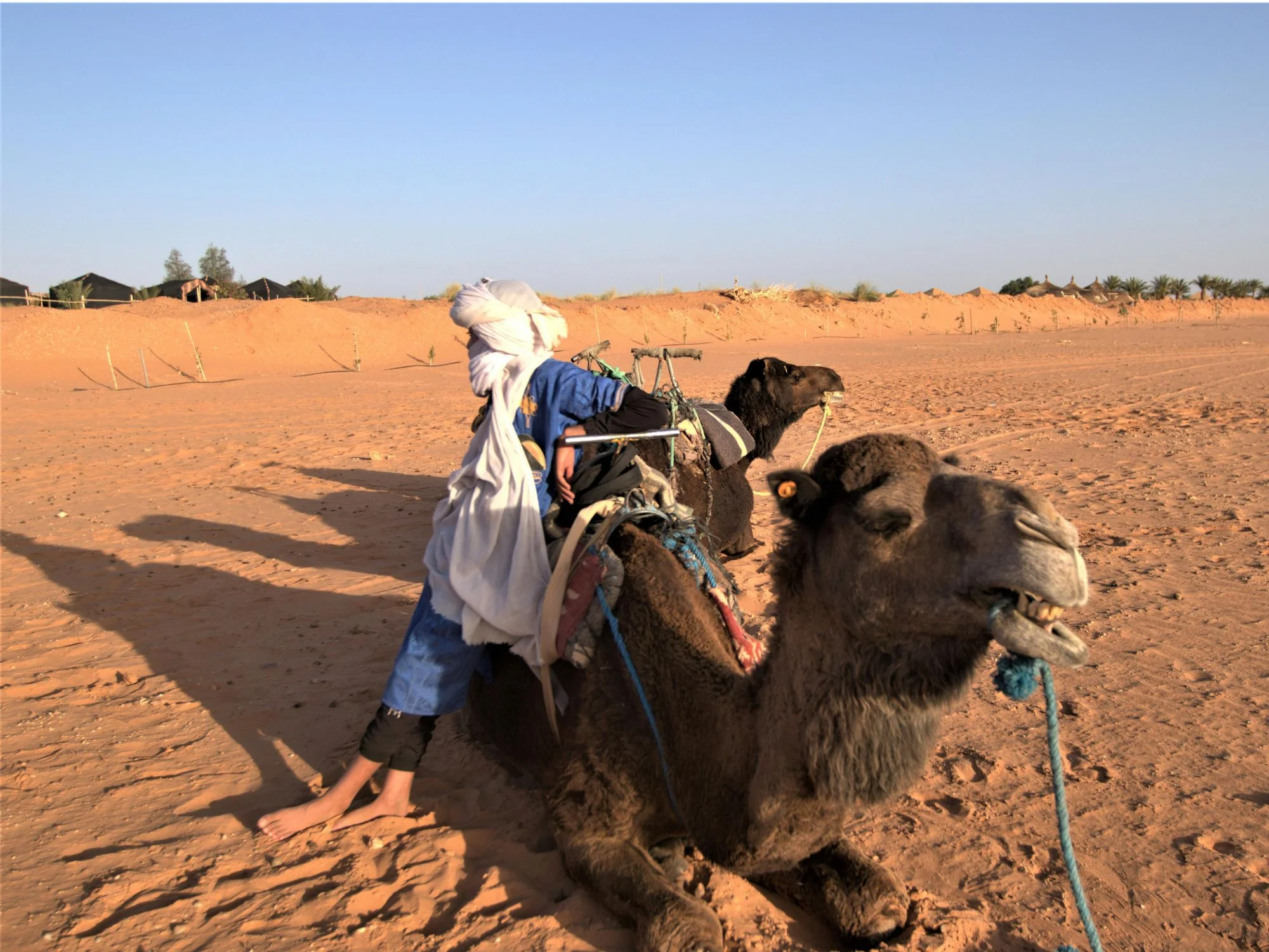 Tuareg man in white turban mounted on a kneeling camel at a Sahara desert camp