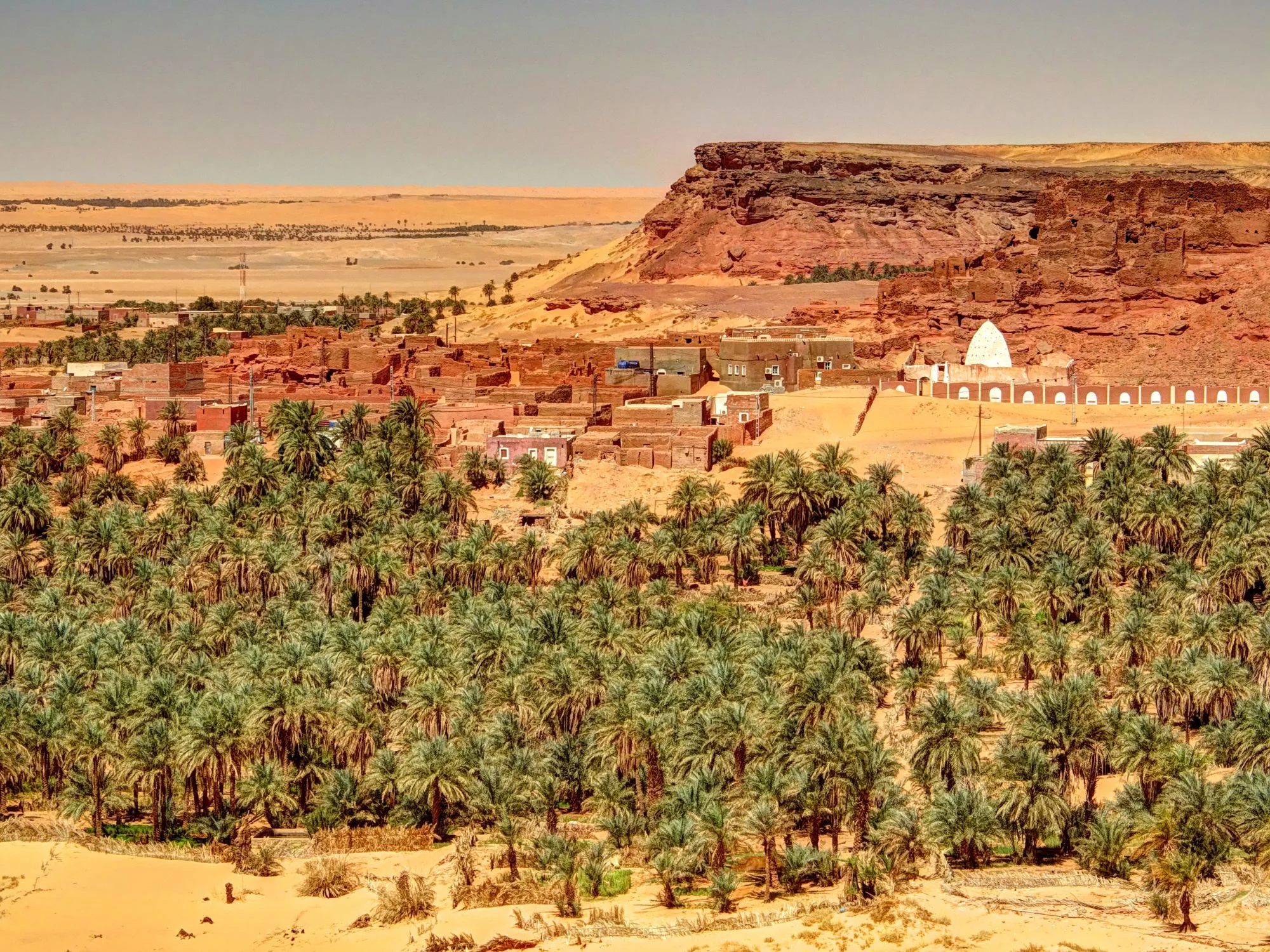 Algerian Sahara oasis with dense date-palm grove, mud-brick village and red sandstone escarpment behind