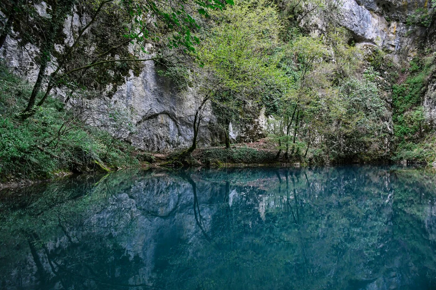 Turquoise pool reflecting limestone cliffs and overhanging trees in Una National Park, Bosnia & Herzegovina