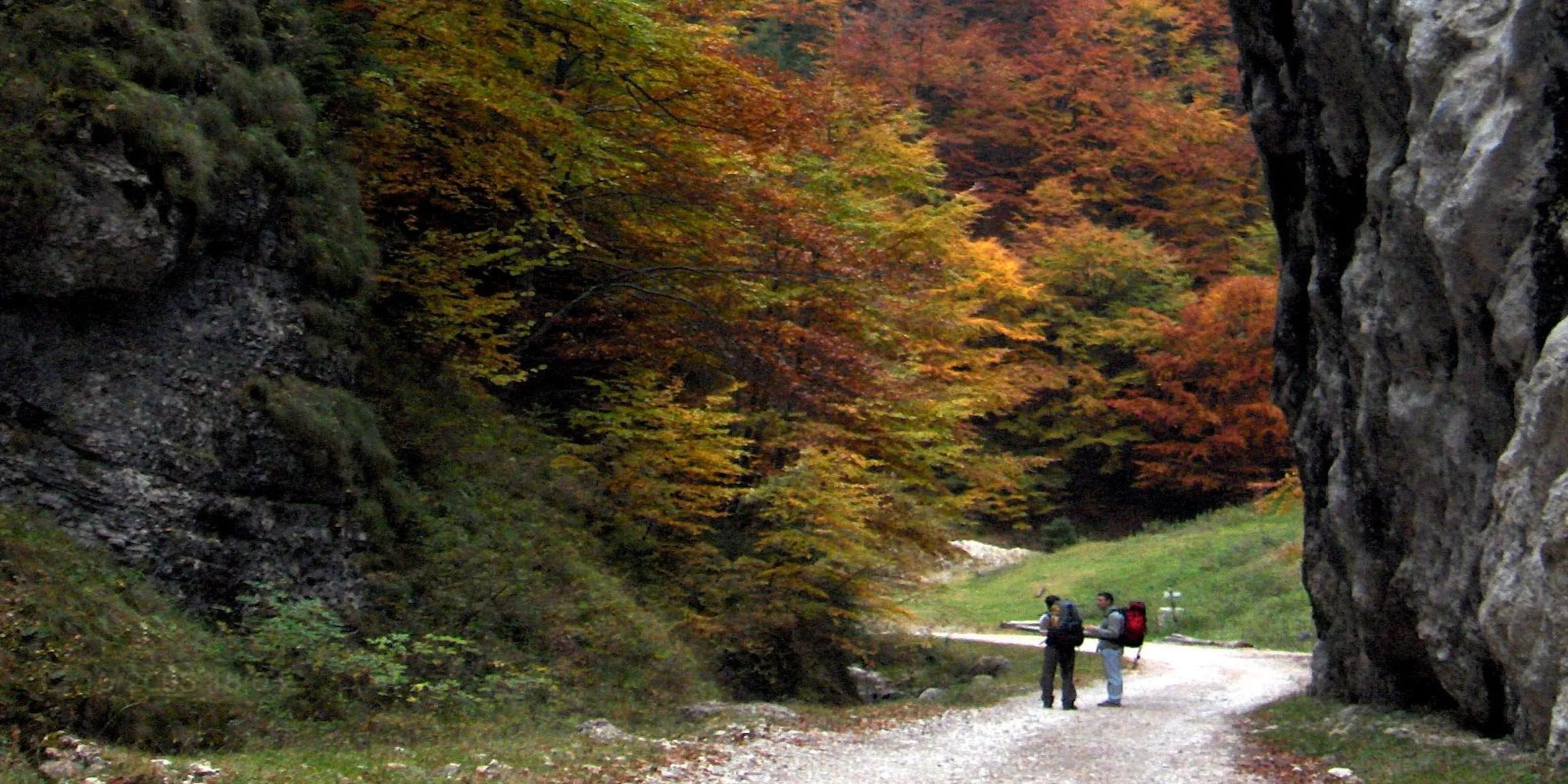 Two backpackers on a path between limestone cliffs in autumn beech forest, Carpathian Mountains, Romania