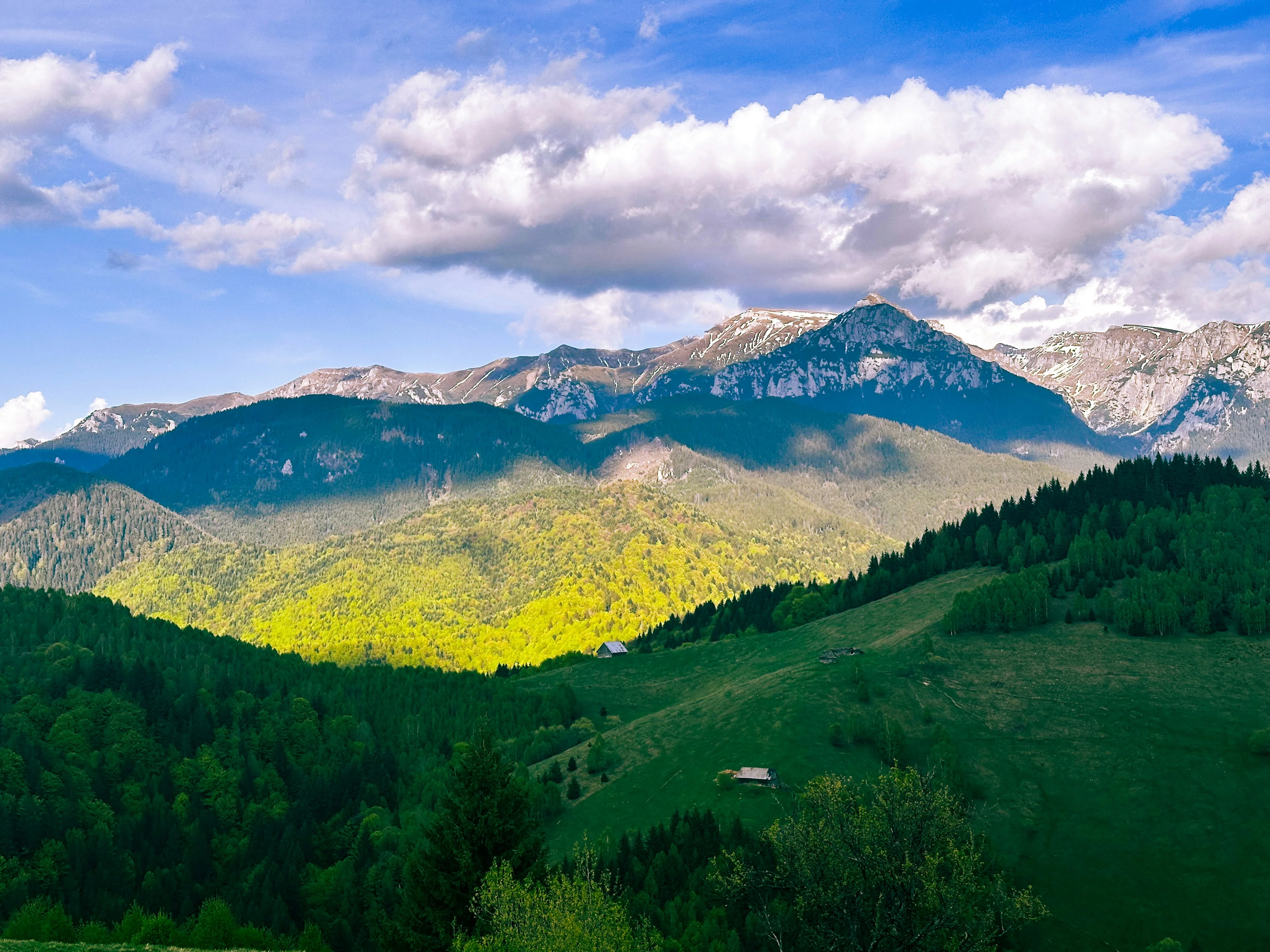 Sun-dappled meadows and pine forests below a craggy limestone ridge in the Dinaric Alps