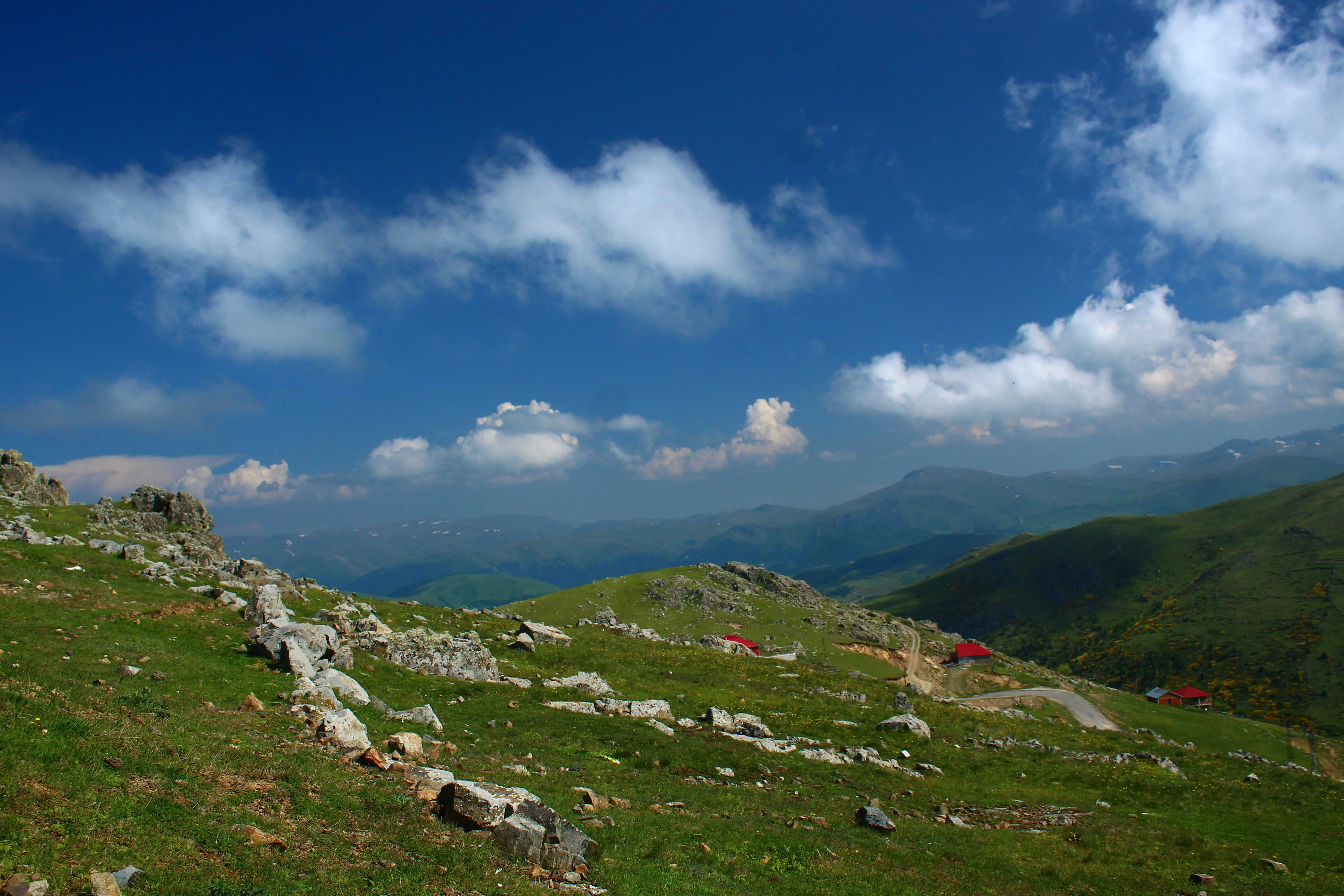 Stony alpine meadow with limestone outcrops above forested valleys in the Accursed Mountains, Kosovo