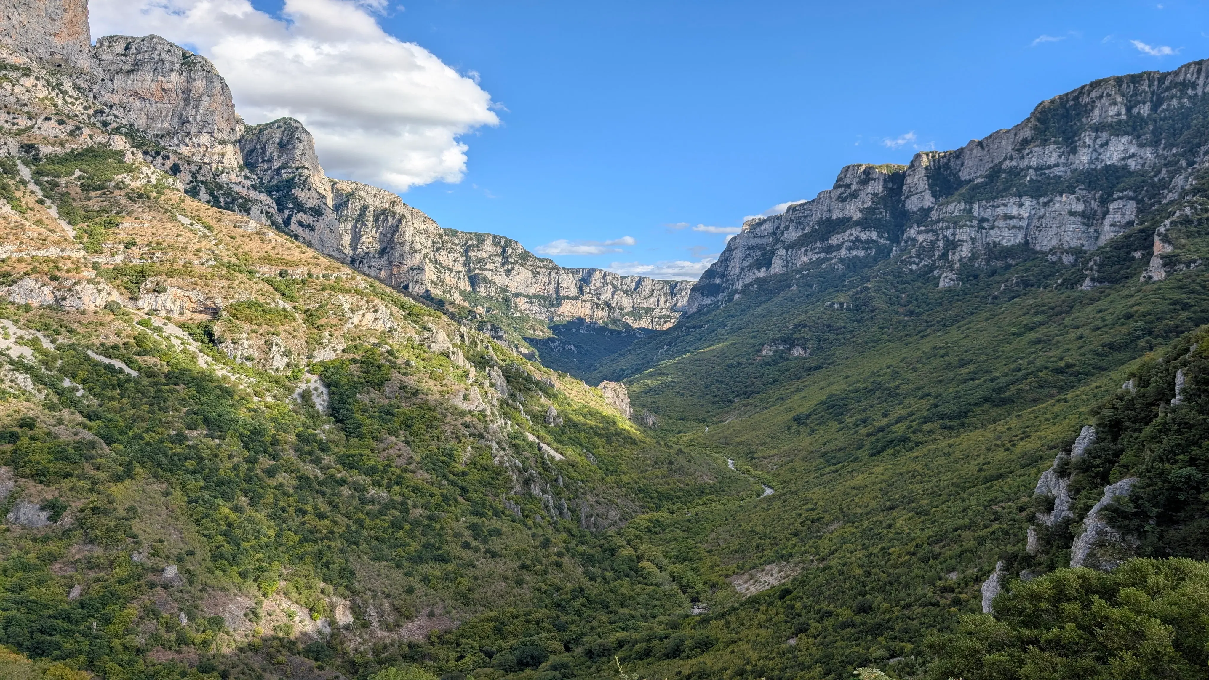 View into the deep limestone Vikos Gorge with tree-covered slopes plunging to the riverbed, Zagori, Greece