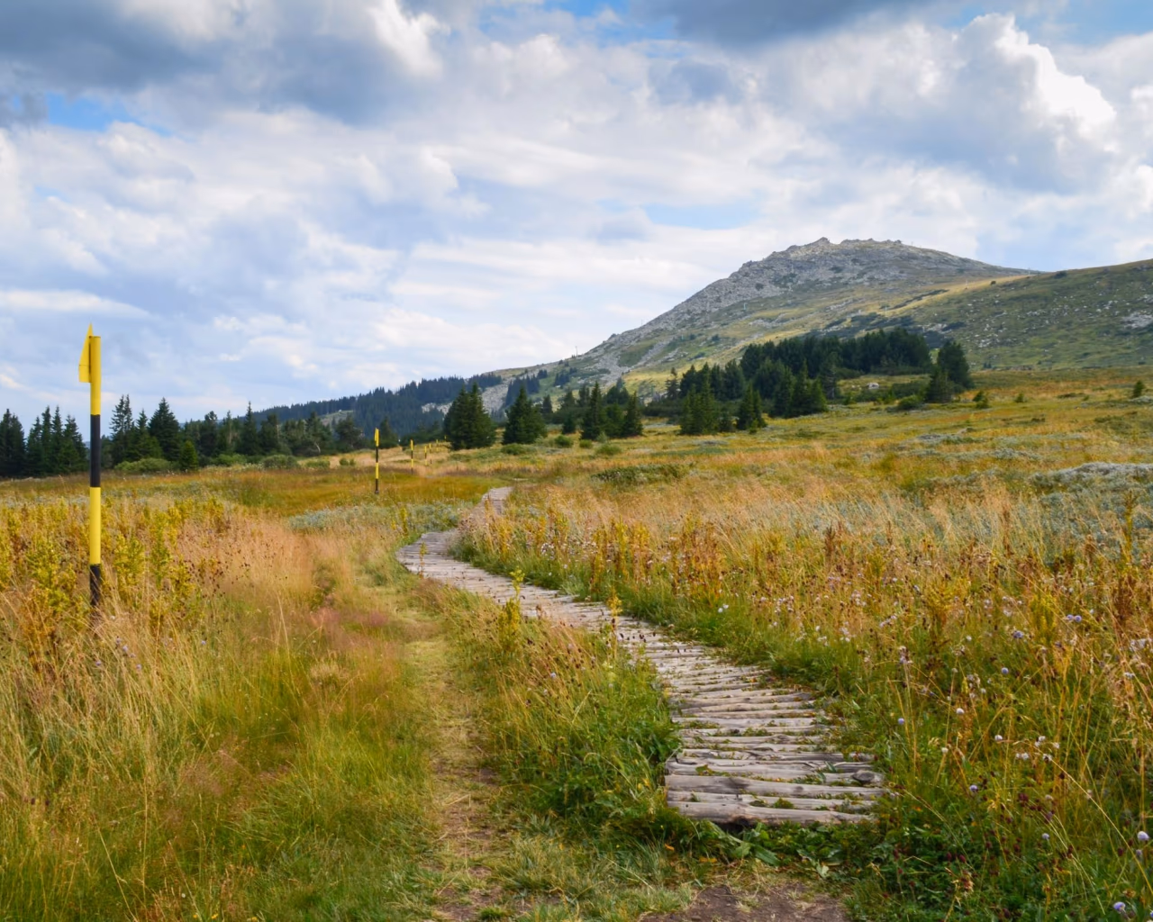 Wooden hiking trail on Vitosha Mountain with yellow markers, Bulgaria nature walk.