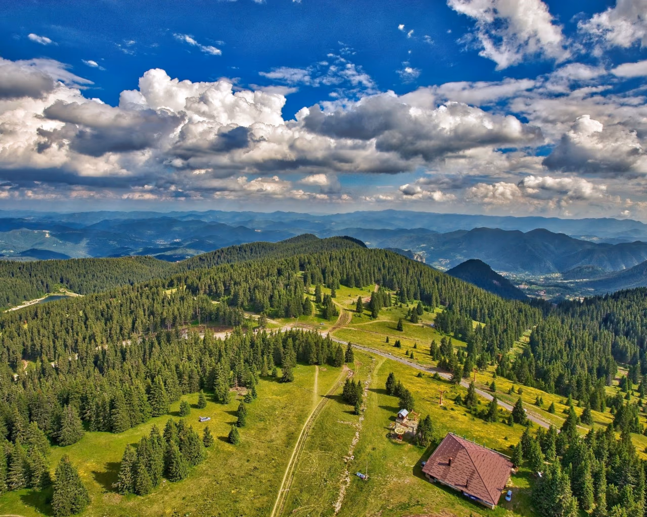 Rhodope Mountains panoramic view with pine forests and blue sky in Bulgaria.