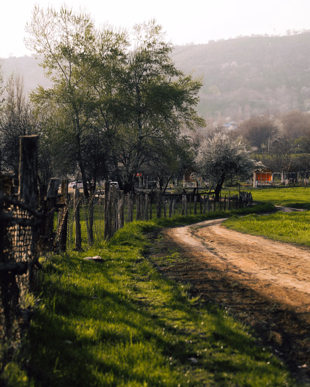 Scenic countryside in Gabala, Azerbaijan, featuring a winding dirt road, lush green trees, and distant mountain views.