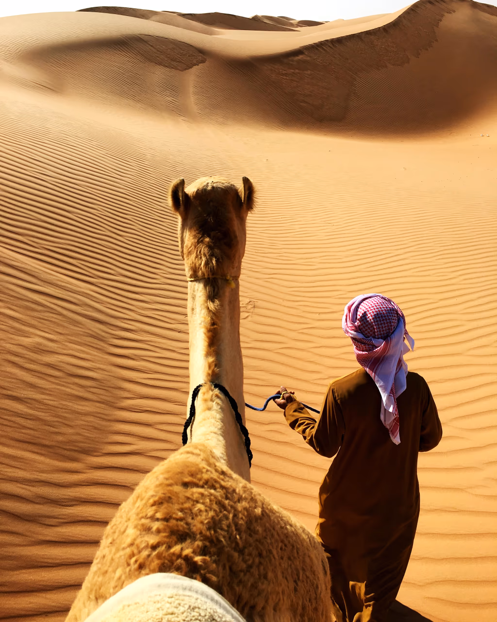 Man leading camel across rolling sand dunes on a desert Oman tour.
