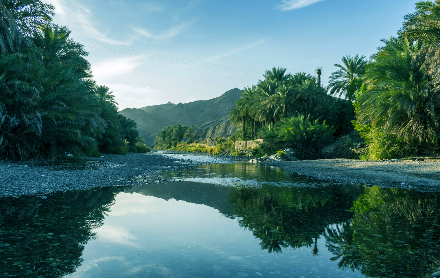 Palm-lined wadi stream reflecting trees and mountains on an Oman tour.